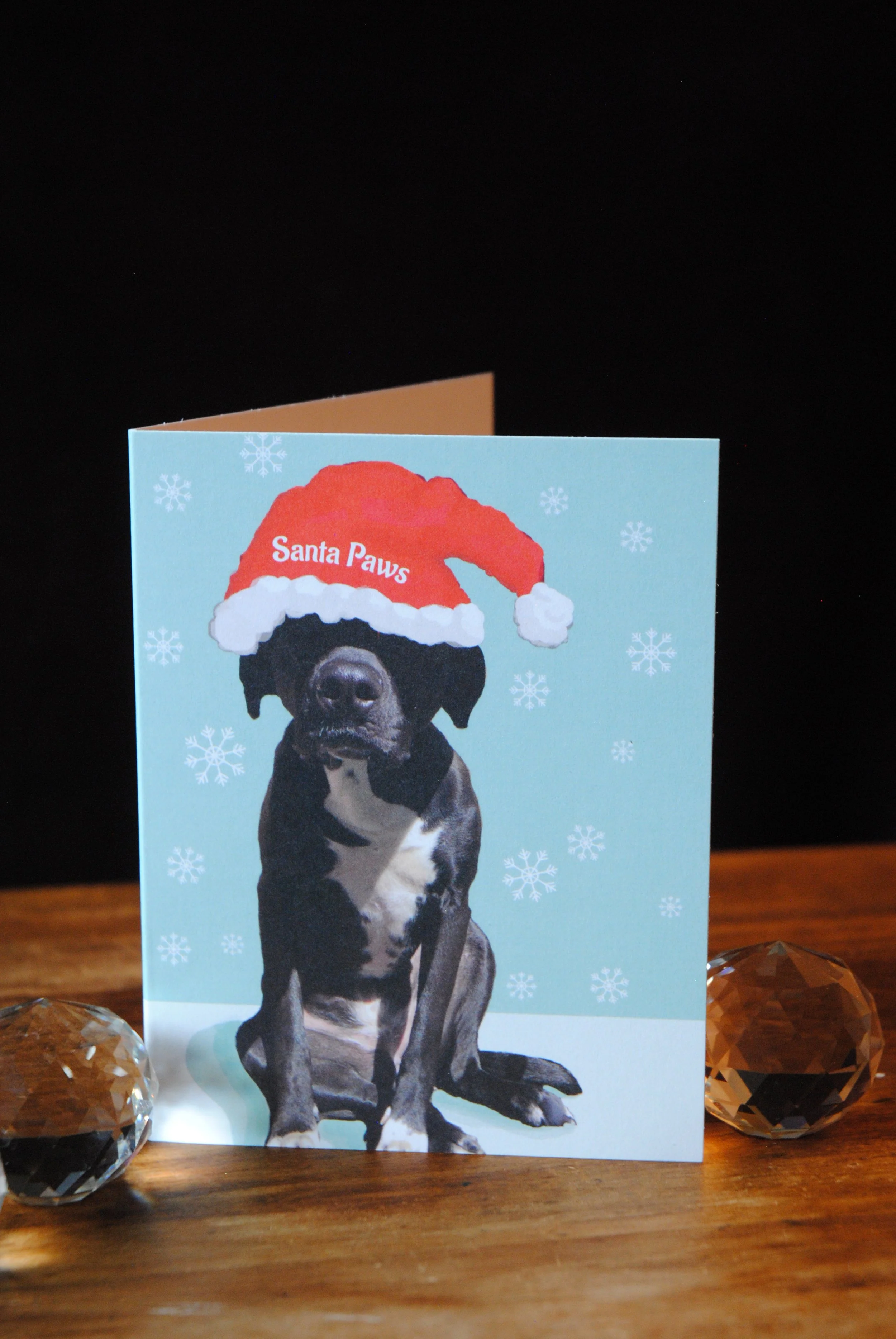 Santa Paws