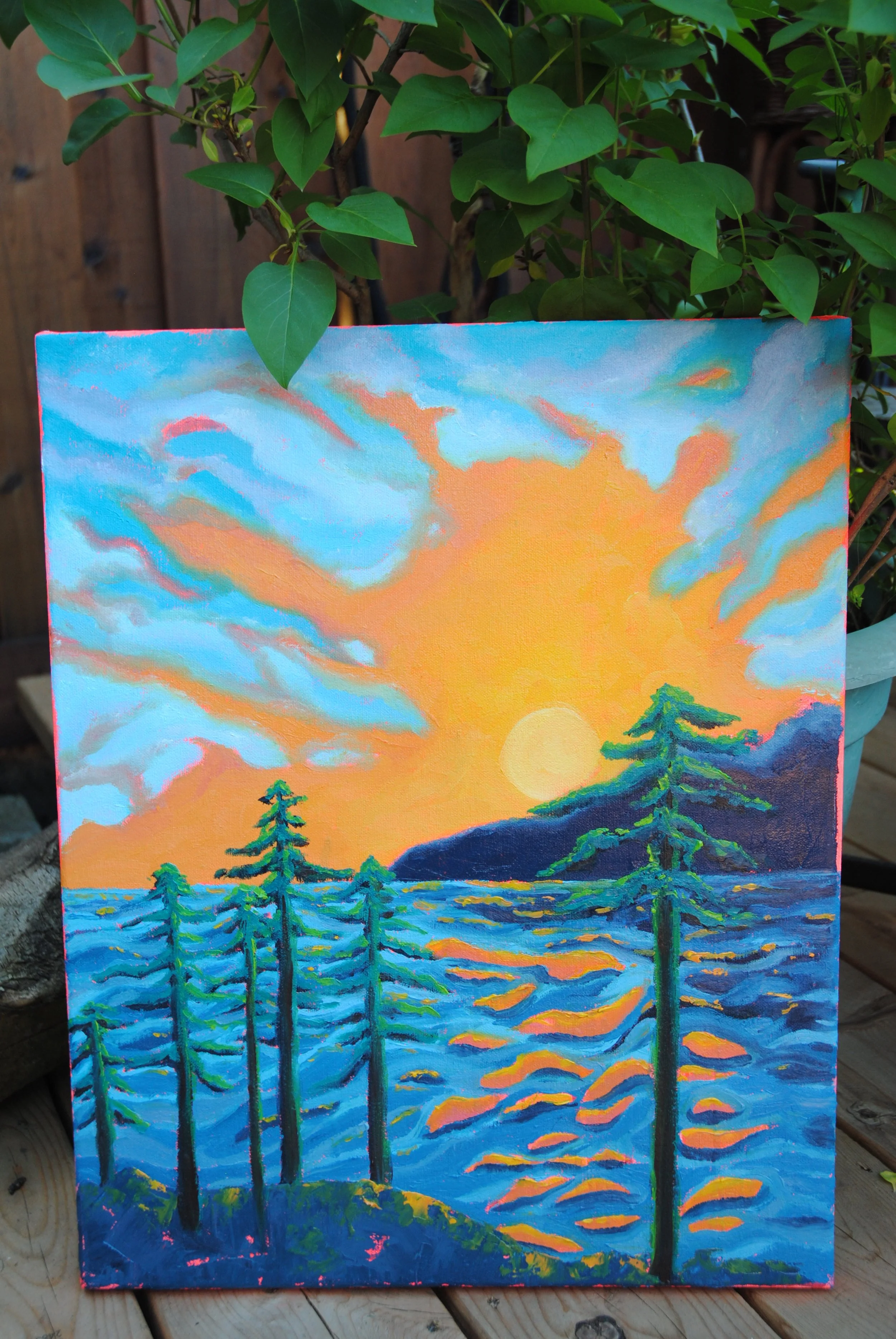 Beautiful British Columbia
Oil on canvas