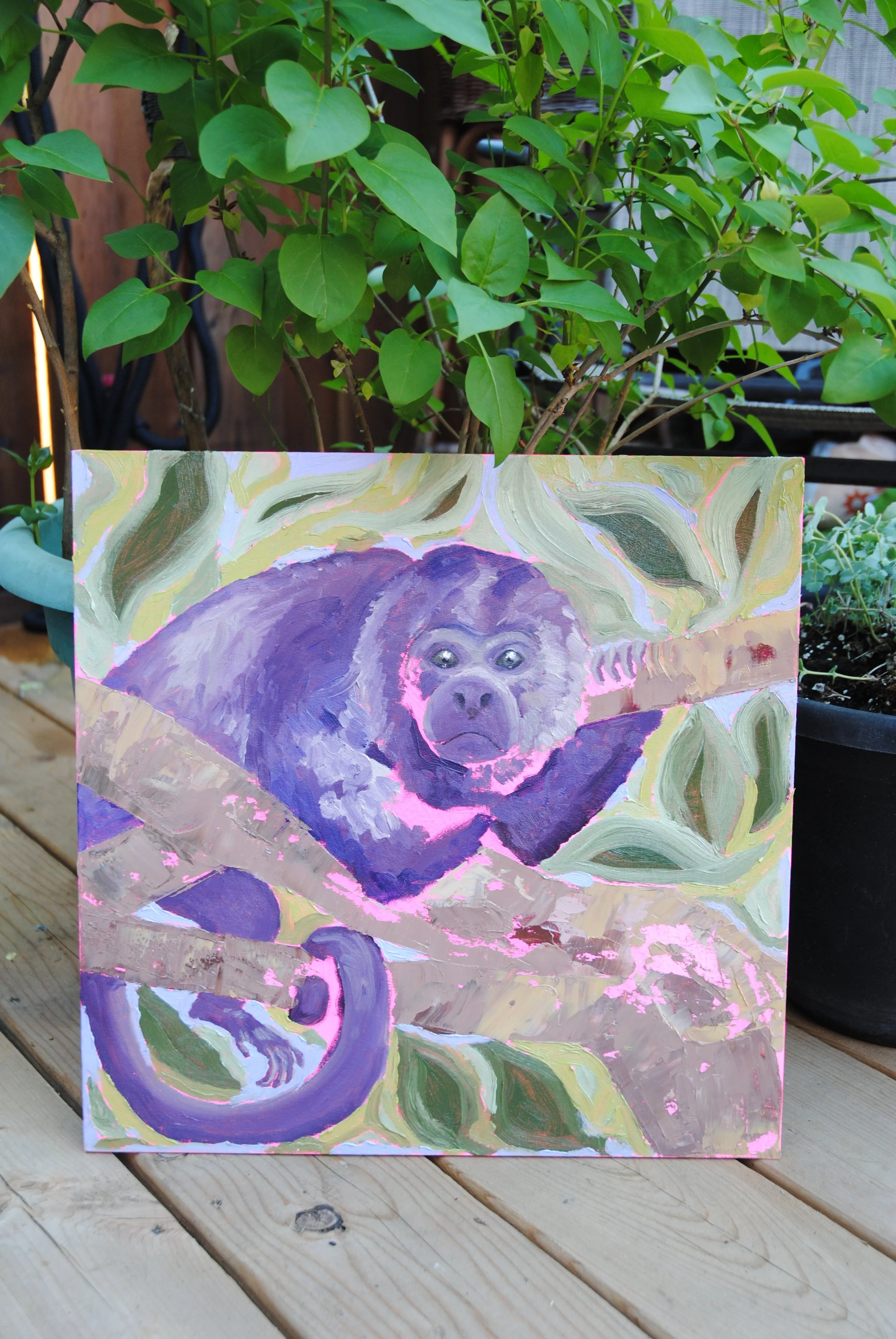 Howler
Oil on canvas board