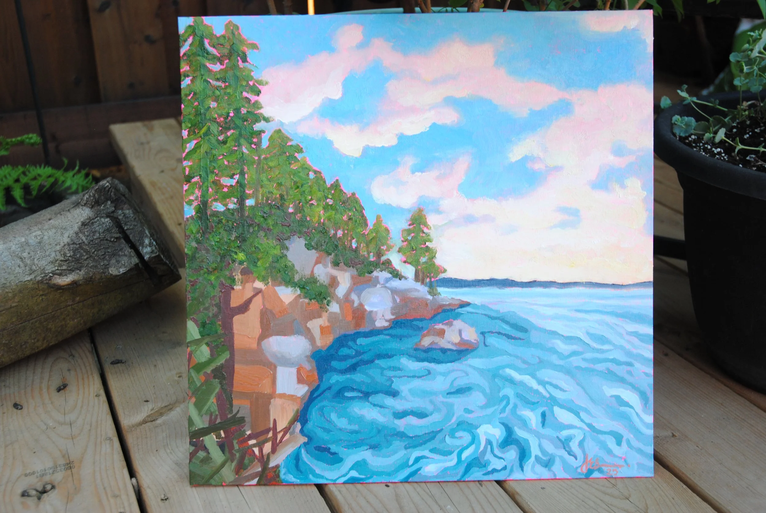 Lighthouse Park
Oil on canvas