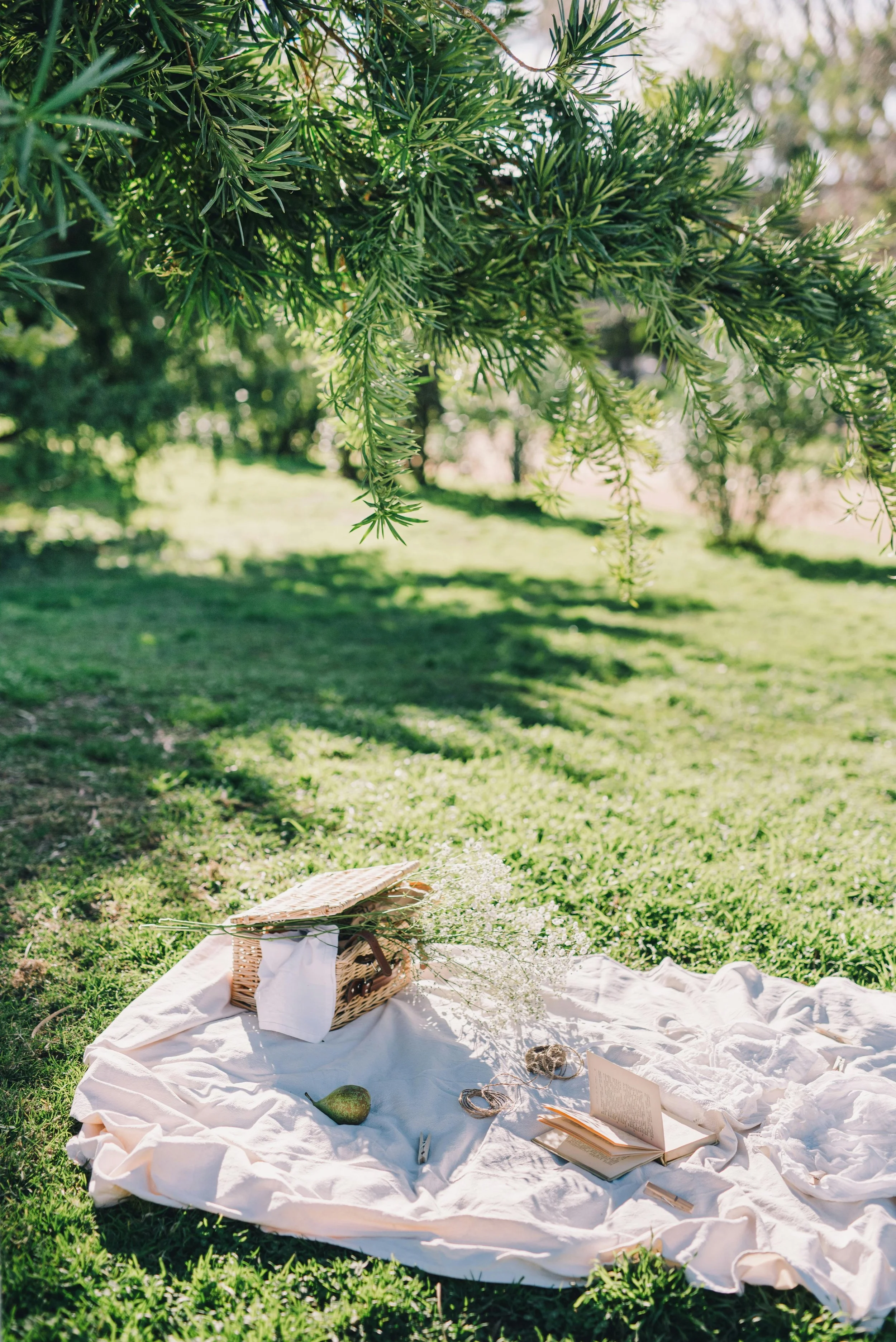 Photo by Leeloo The First: https://www.pexels.com/photo/white-textile-on-green-grass-field-6794047/