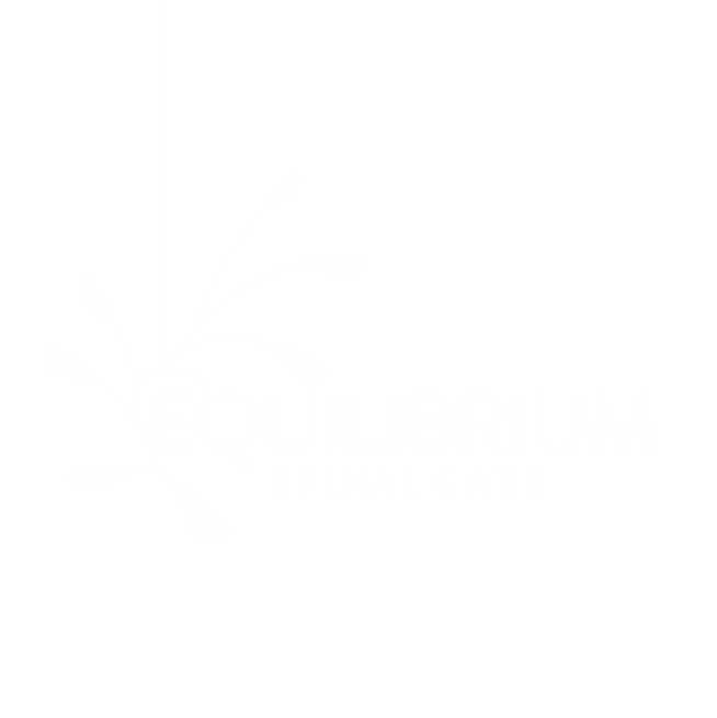 studioy_logo_04.png