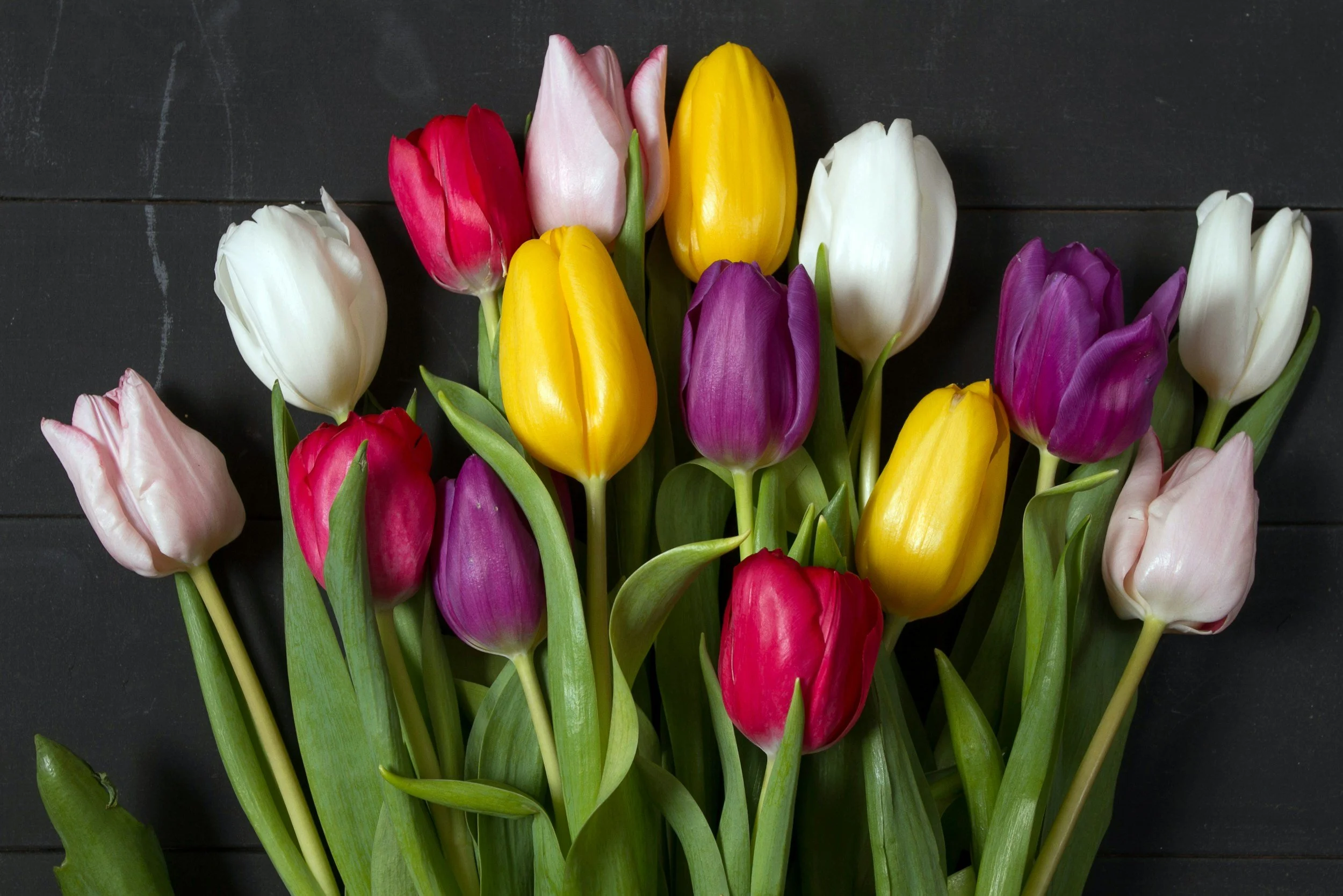 April 