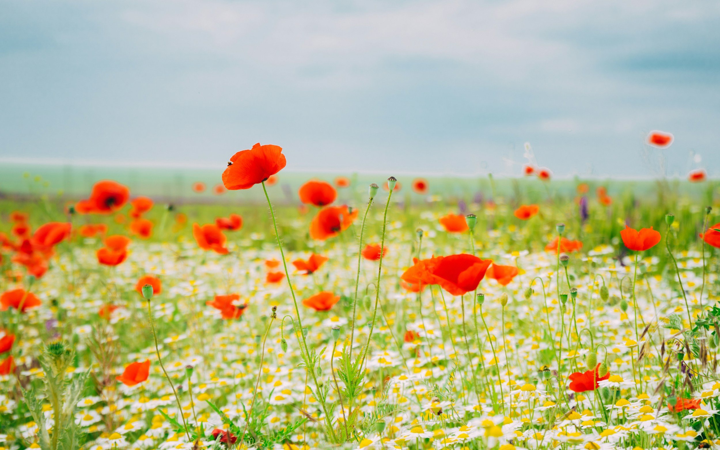 May