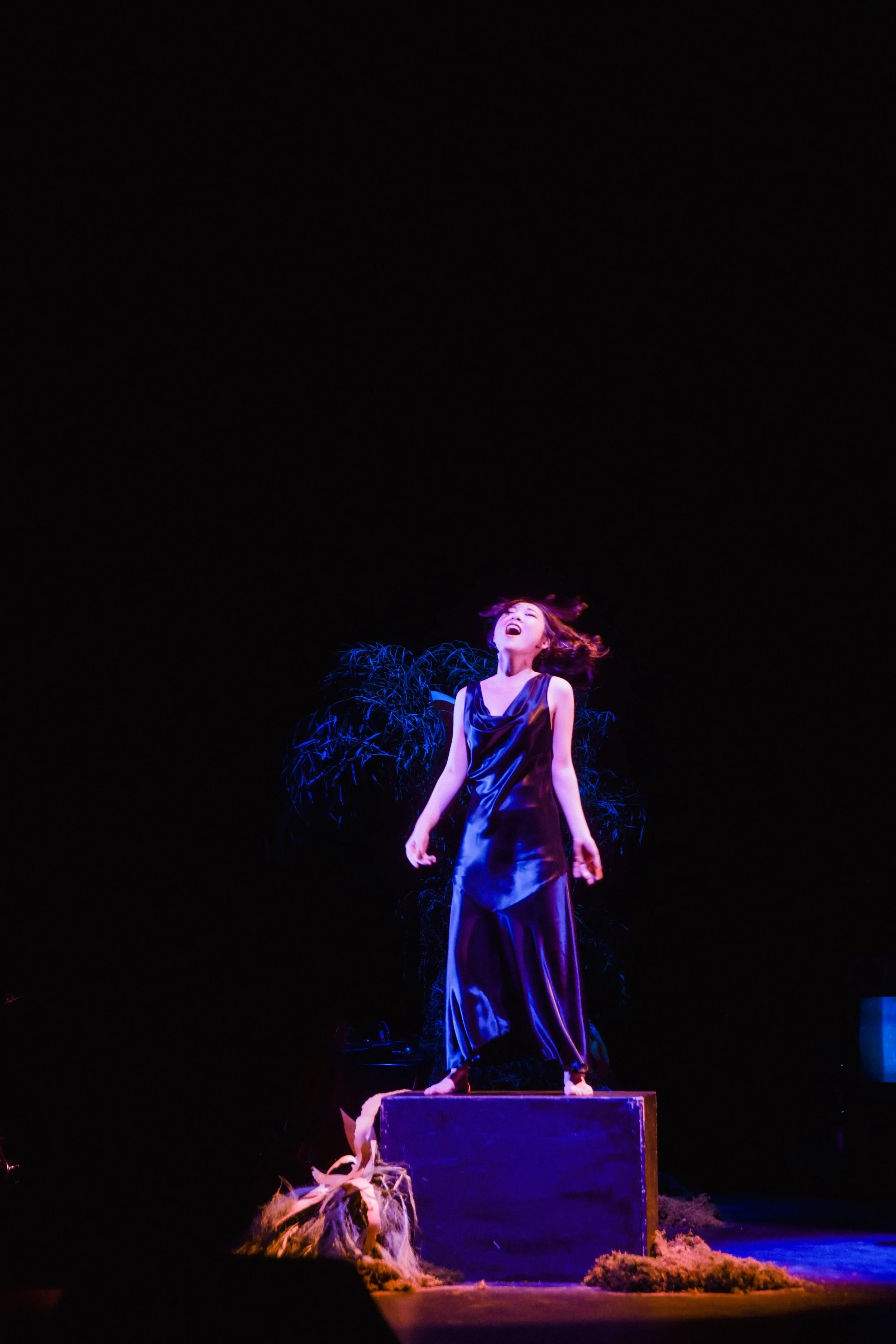 _DSC0252.jpeg