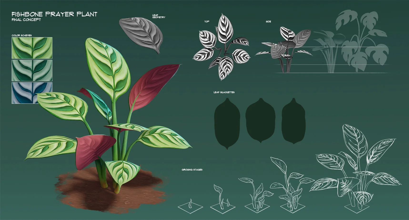 Fishbone_Prayer_Plant_Concept_v1.jpg
