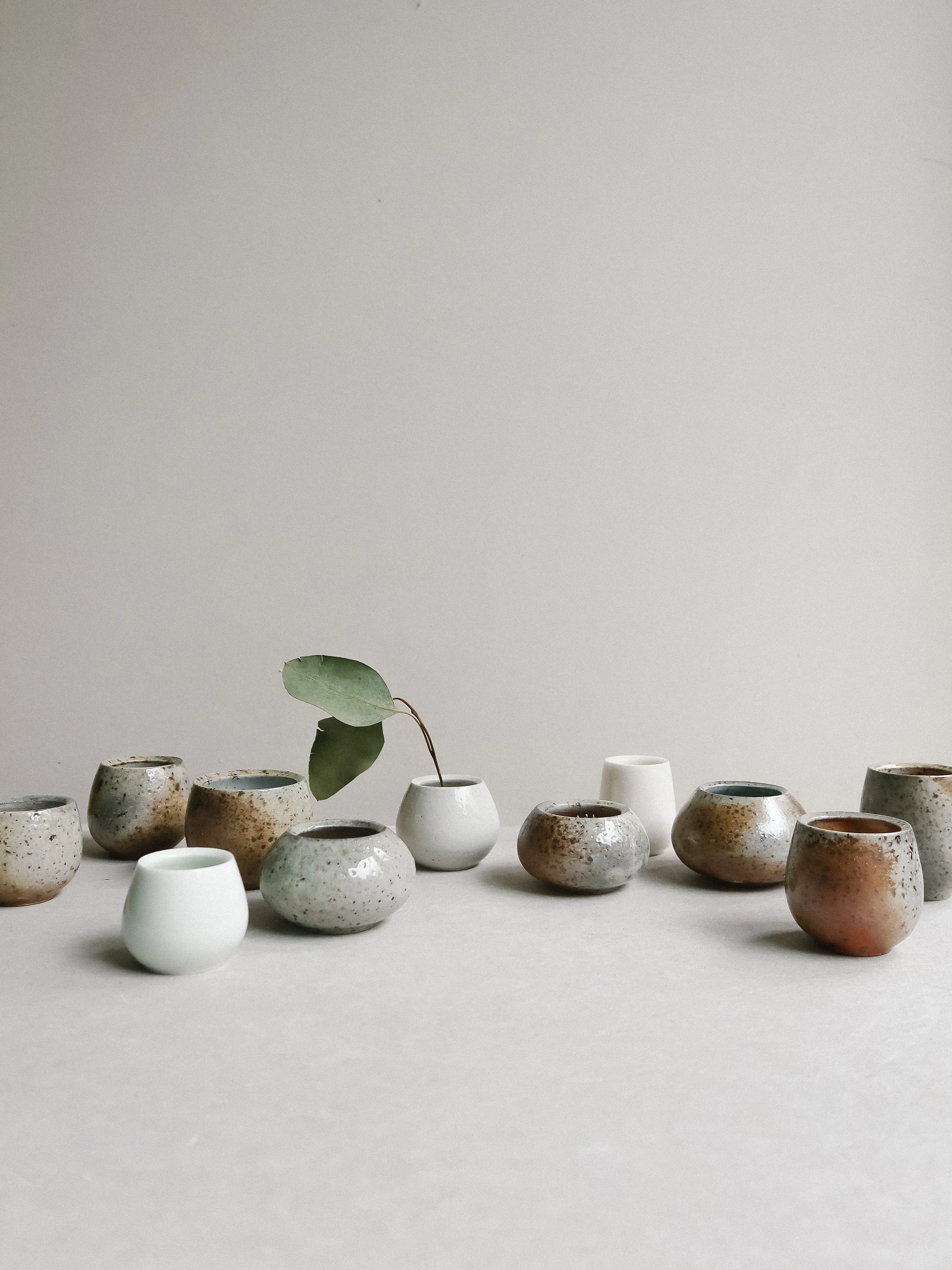 IMG_2406-2.jpg (Copy) (Copy)