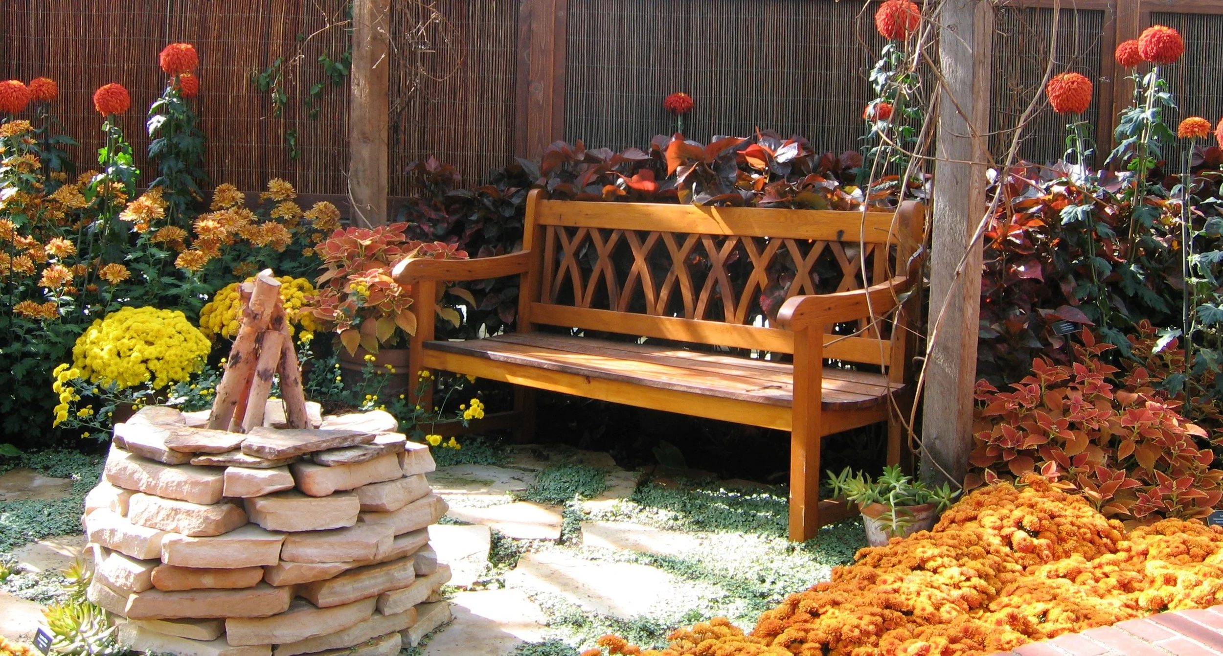 Brown bench with orange and rust mums
