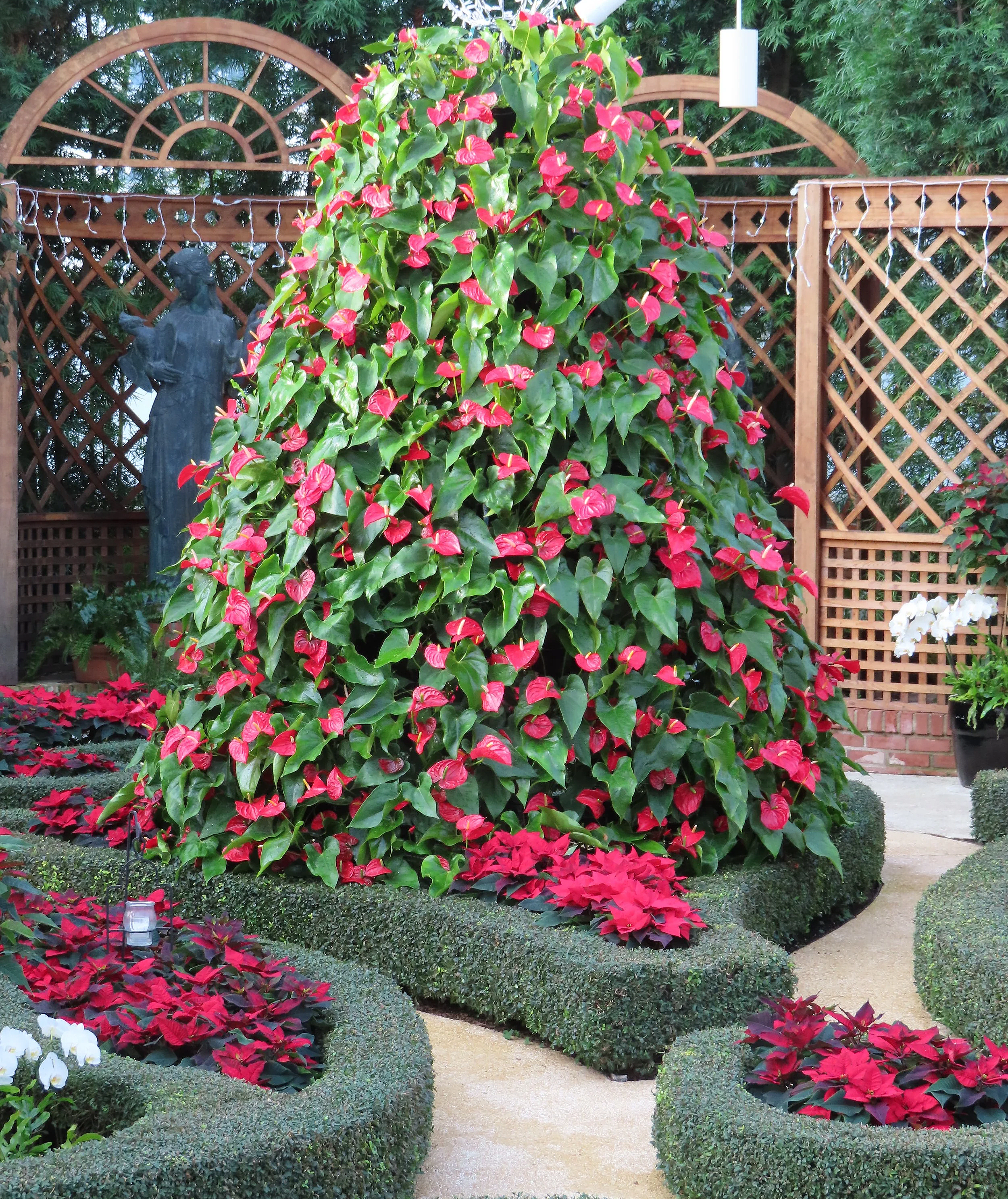 A large Anthurium in the shape of a tree in a formal garden setting at Phipps.