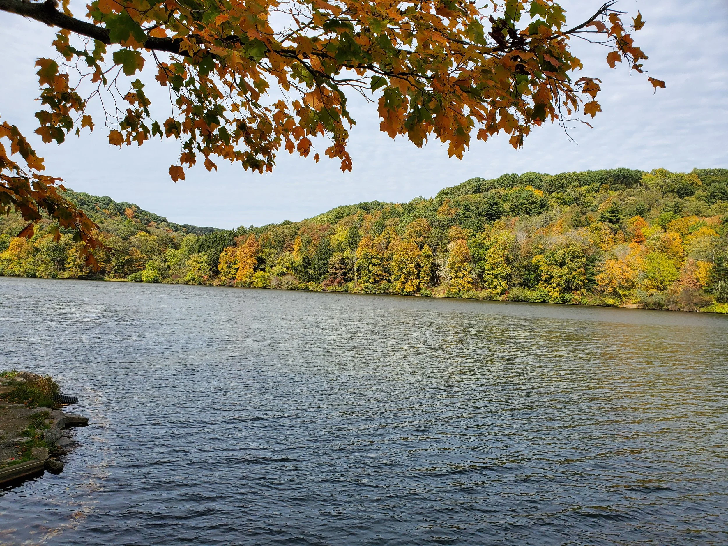A lake surrounded by trees with colorful fall foliage, under a partly cloudy sky, with a branch of orange and green leaves hanging overhead.