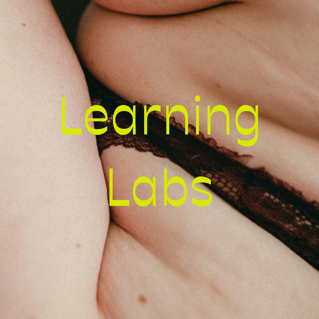 learning labs are hybrid learning opportunities