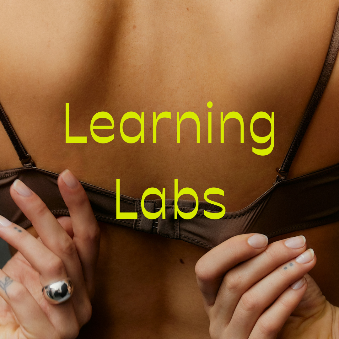 learning labs are hybrid learning opportunities