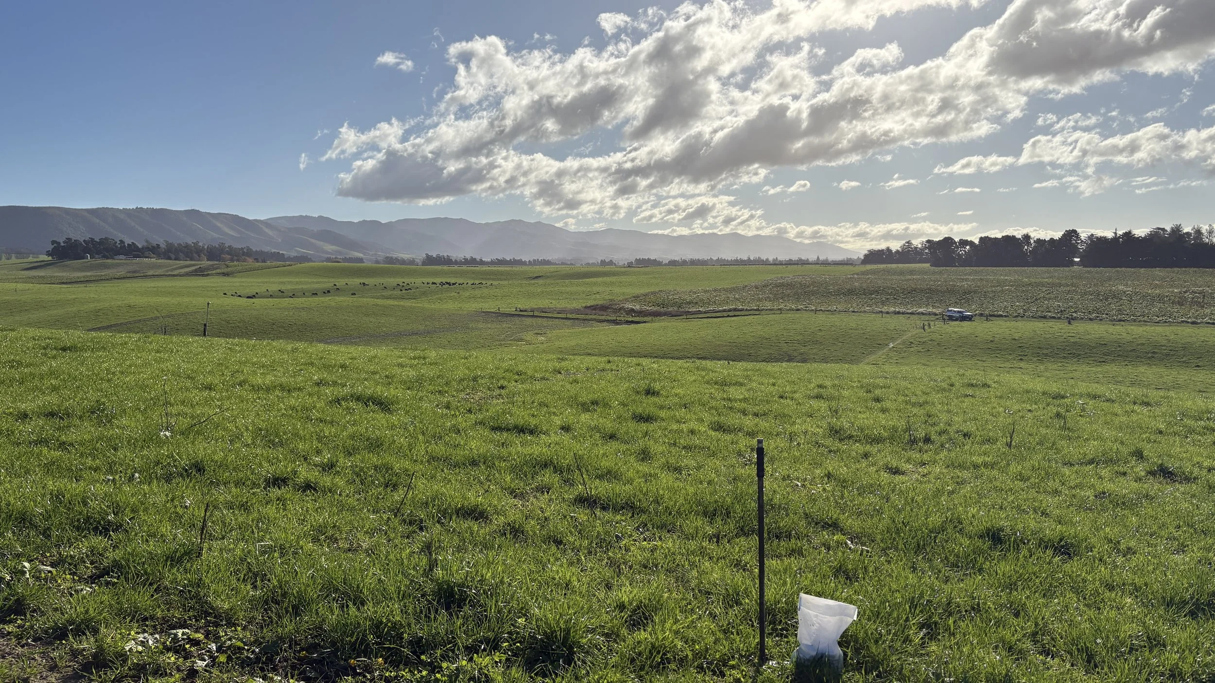 Why Soil Testing Matters Before Applying Fertiliser
