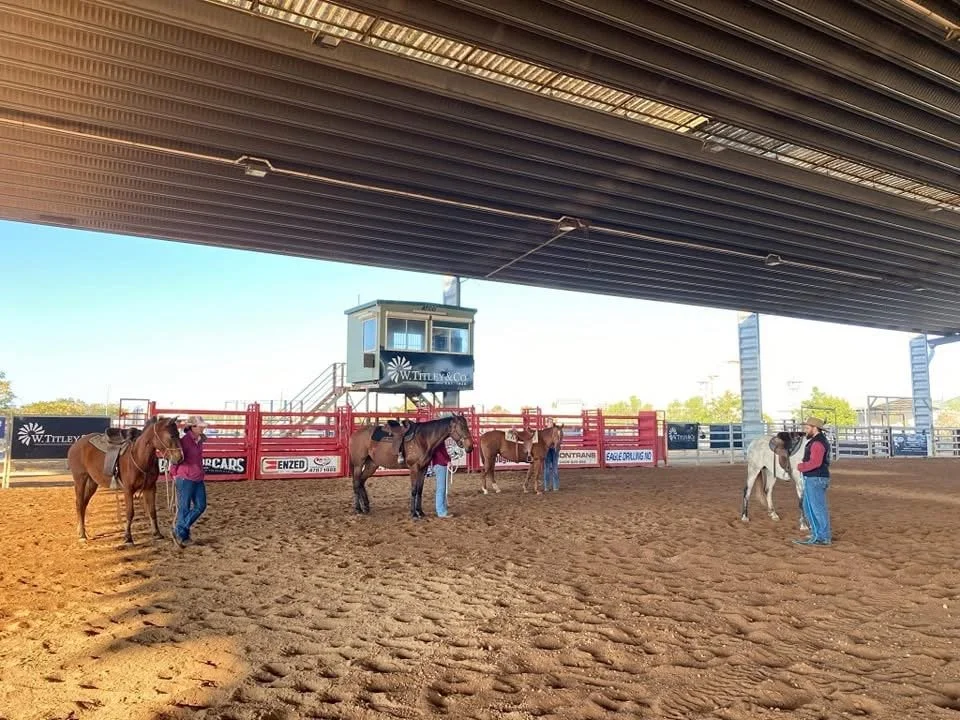 Colt Starting Clinic