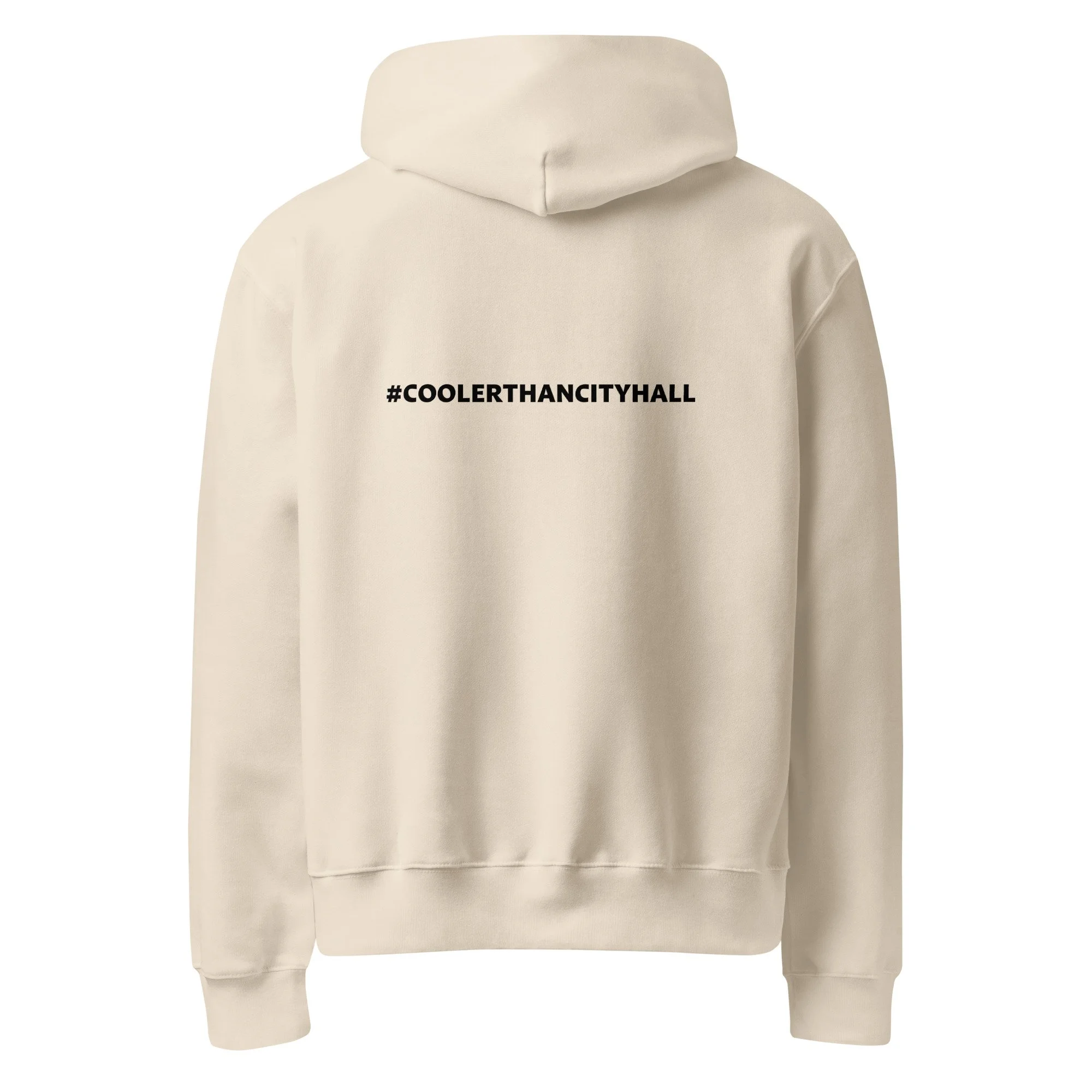 unisex-oversized-heavyweight-hoodie-dust-back-689abc5020a7a.jpg