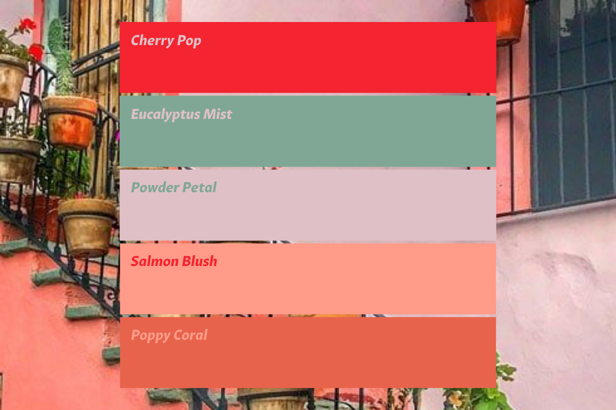 5.png