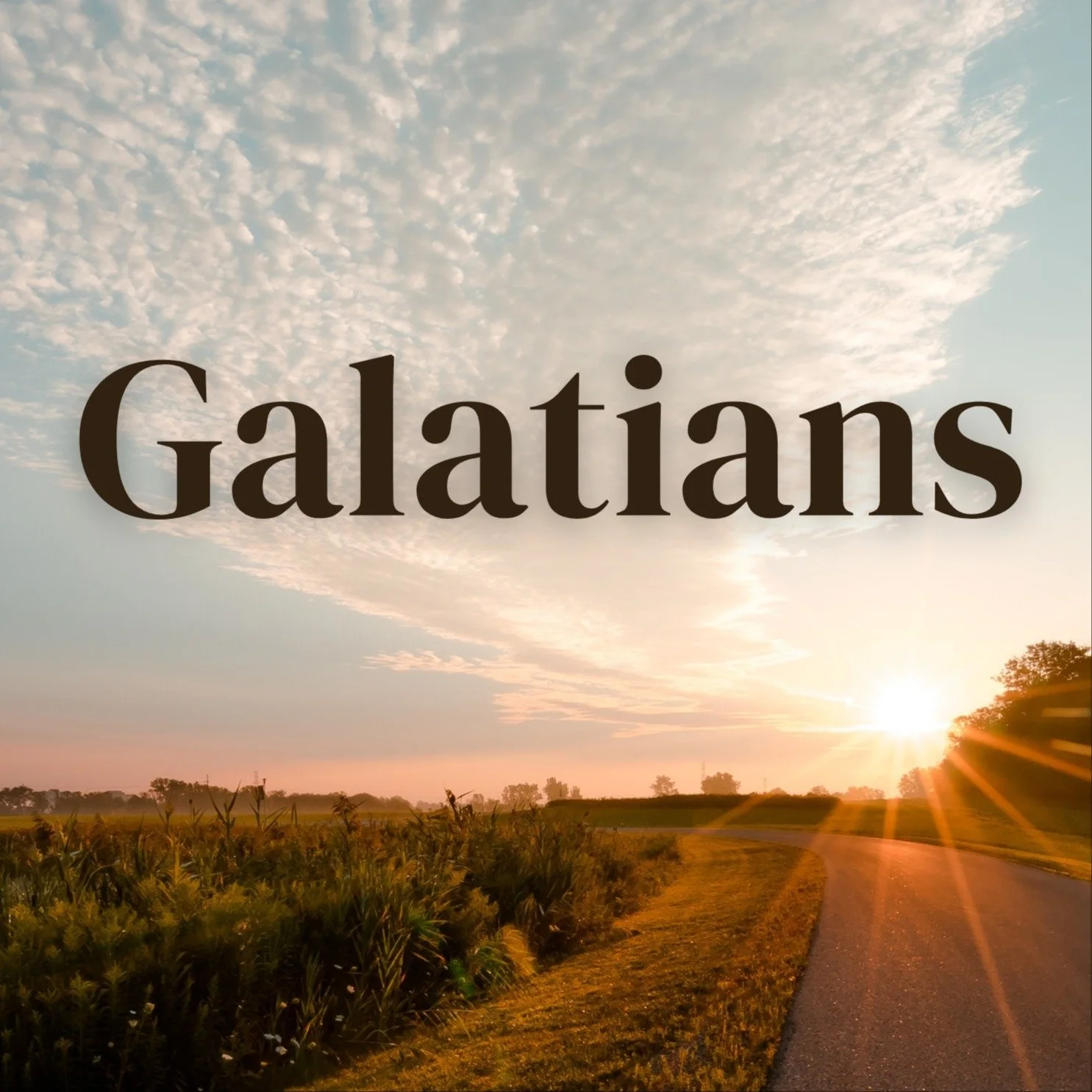 Book 48: Galations (Feb 8, 2026)