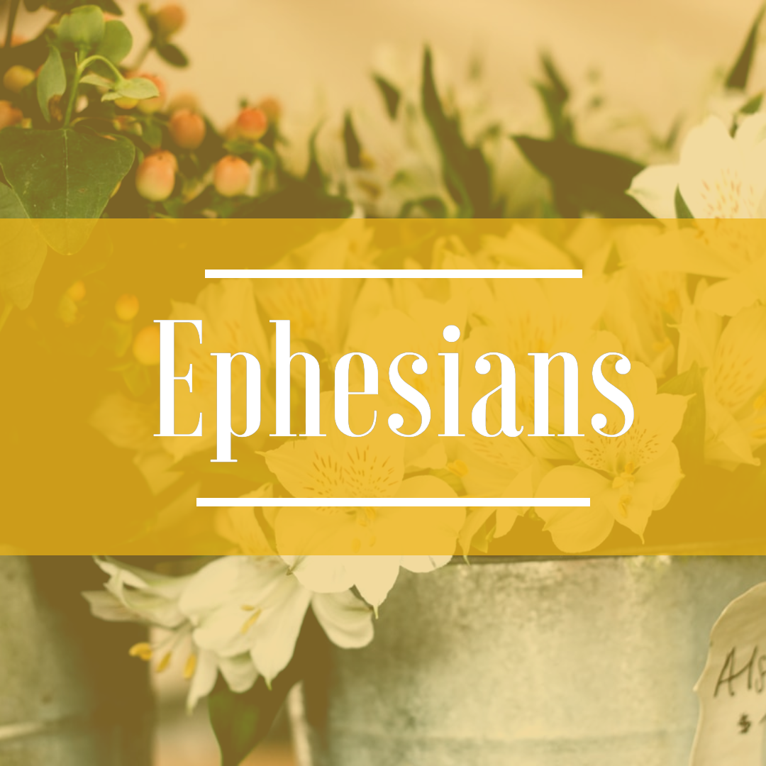 Book 49: Ephesians (Feb 15, 2026)