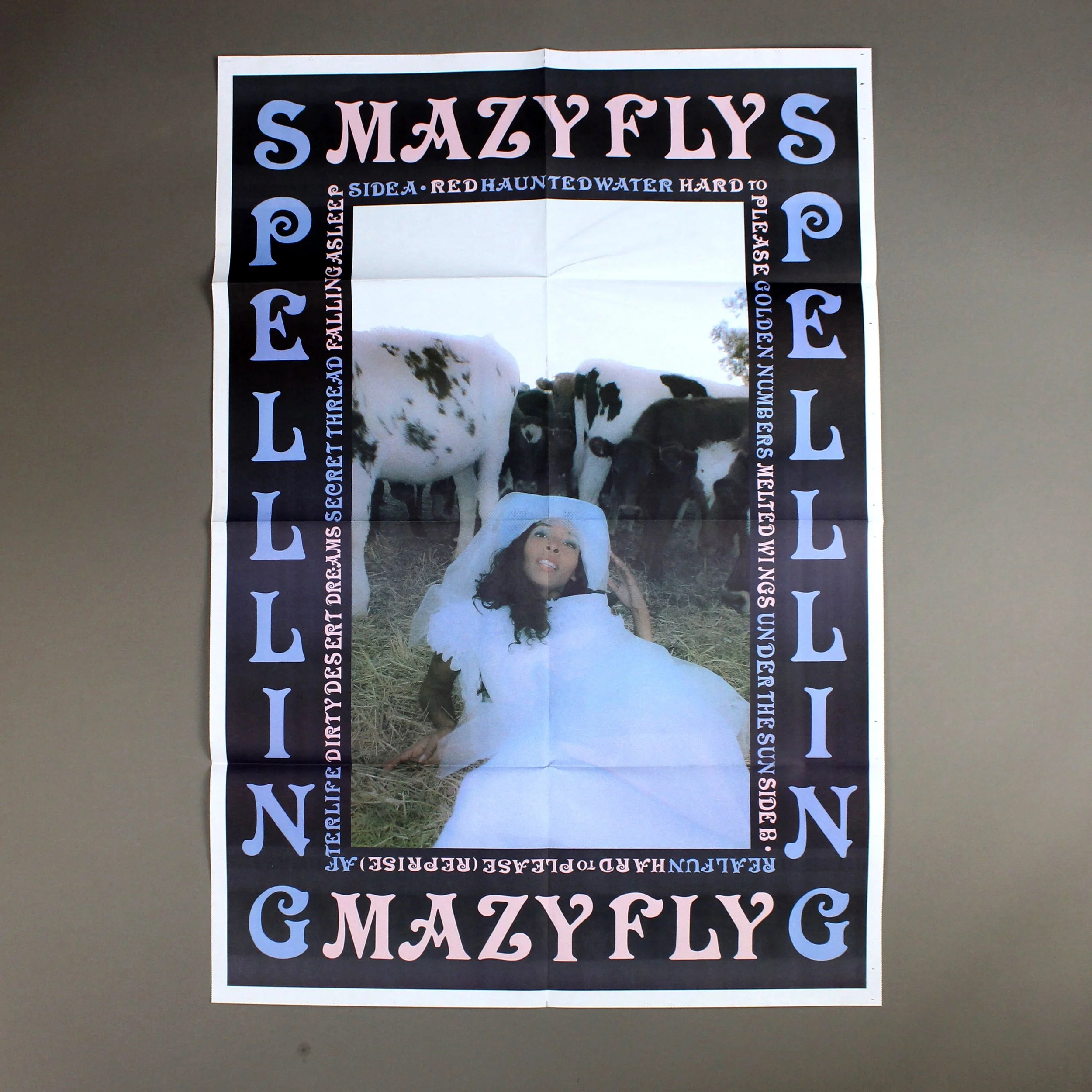 Mazy Fly