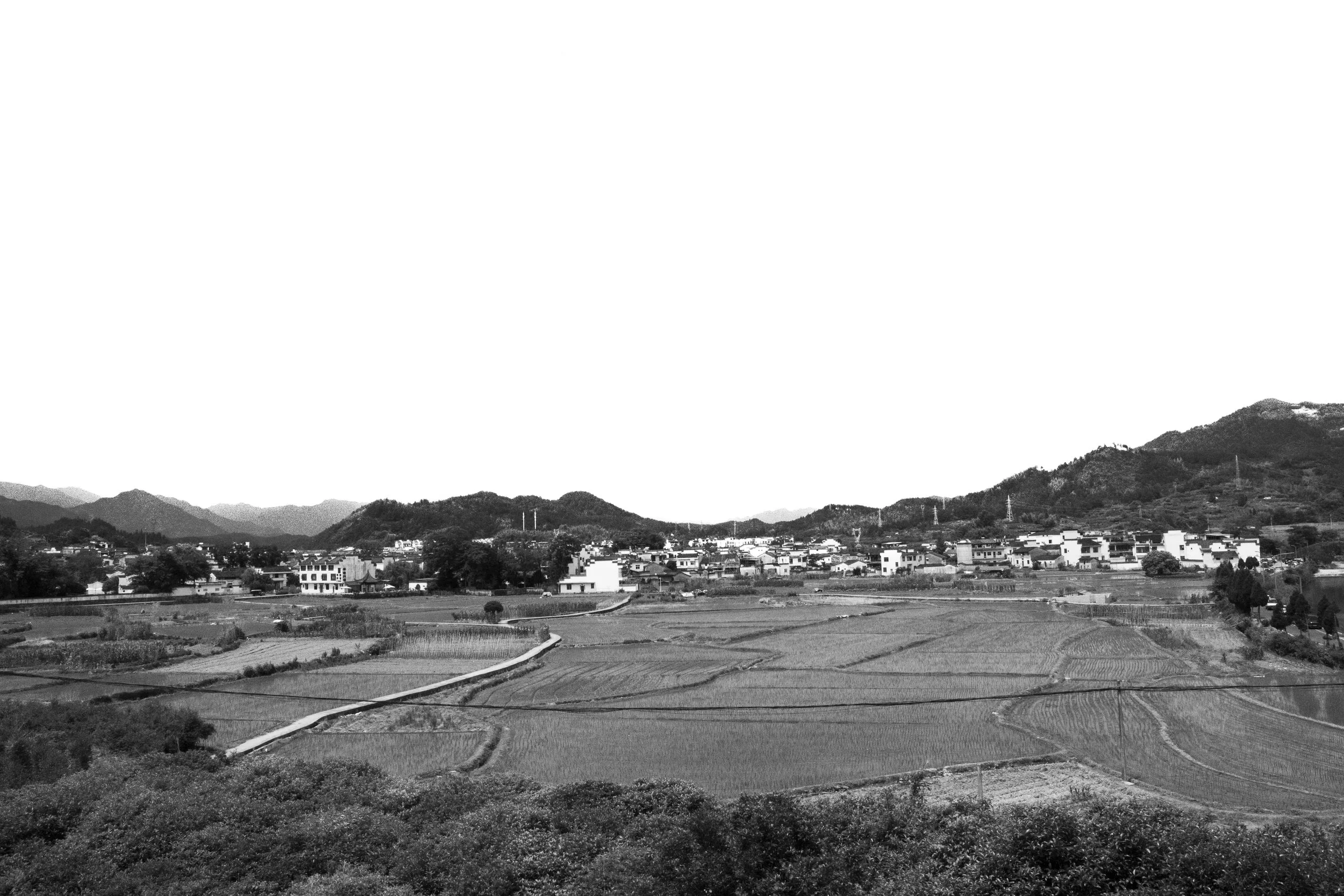 DSC00927_1 copy.jpg