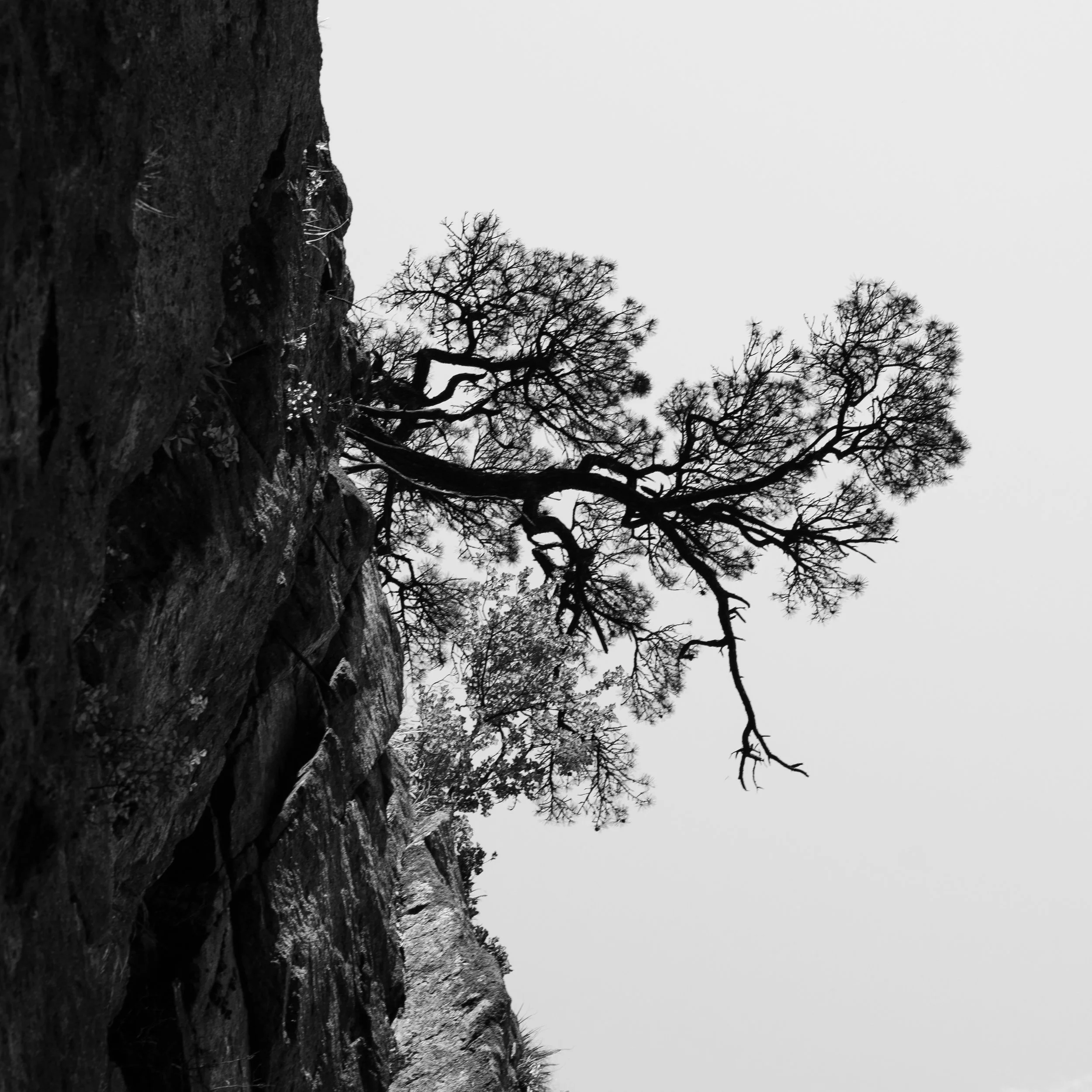 DSC00627 copy.jpg
