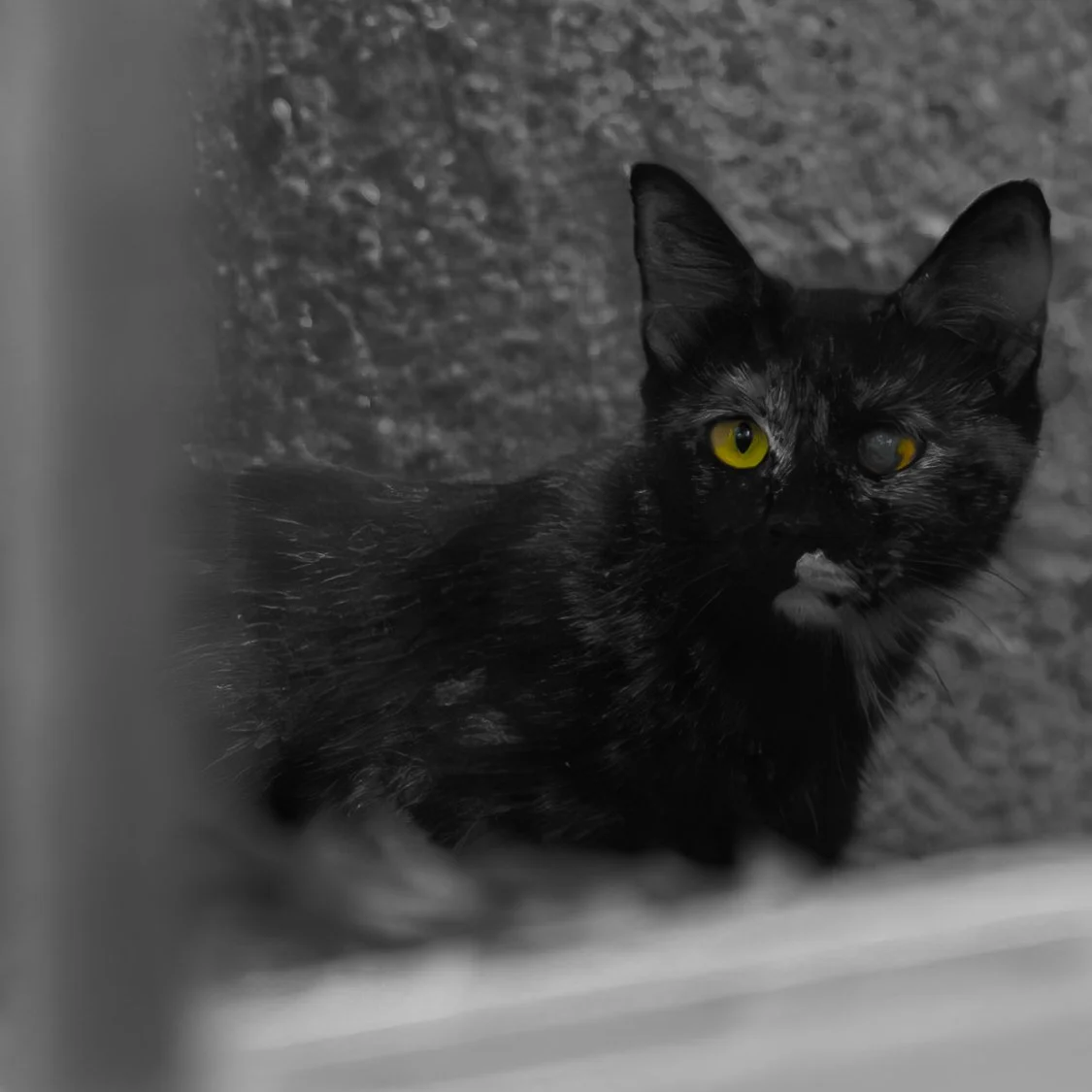 DSC09990.jpg