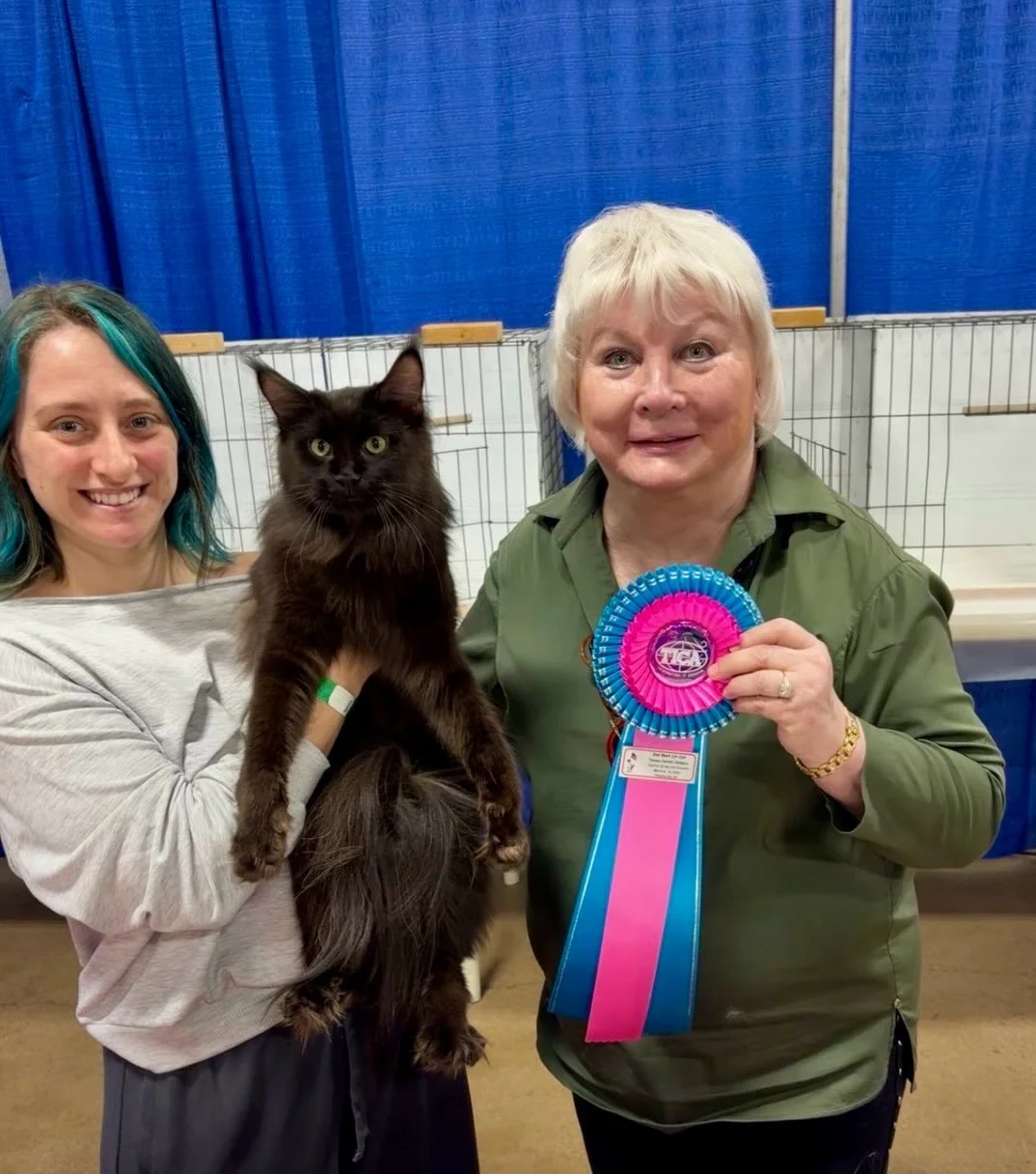 What an accomplishment!! Willow got 2nd place in a final. This is a big step towards becoming a Grand Champion. We did not plan continuing her show career but a couple more finals and she will receive a Grand Champion. That is also a huge milestone f