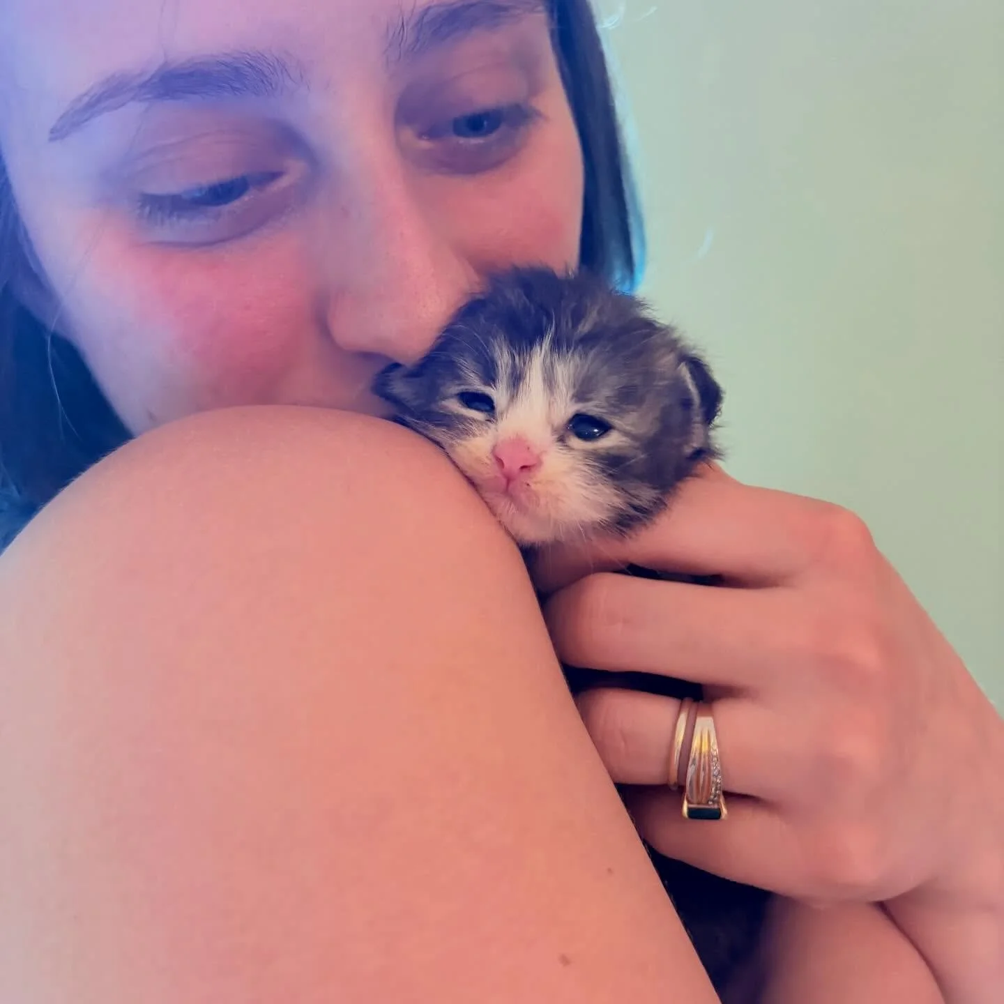 Cove has stole my whole heart🩵