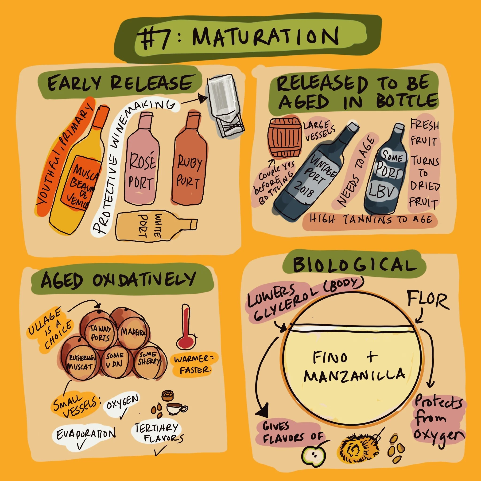 Untitled_Artwork 7.jpg