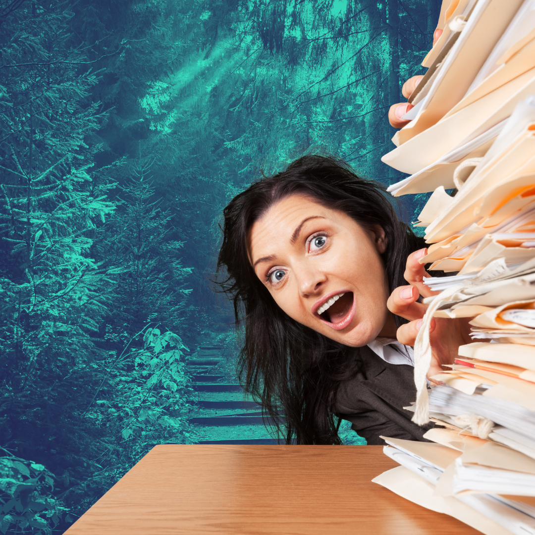 What Hoarding Can Teach You About Brand Storytelling