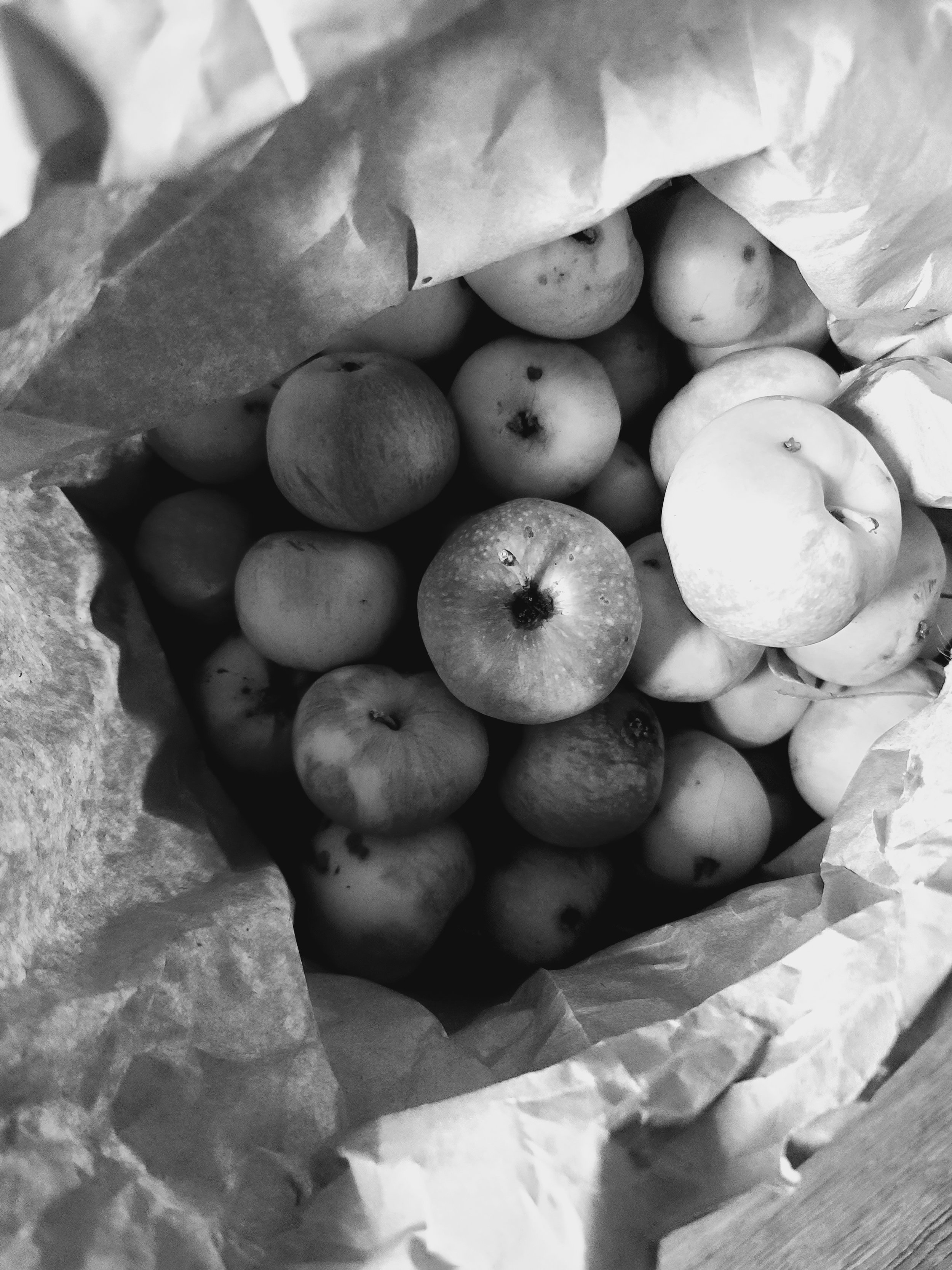 If superstitions are true, the vibe behind old and new were back to the original ideas of Christians and settlement, with extreme circumstances leading some to resort to canning and processing. As the older gen started fading, the truth behind what t
