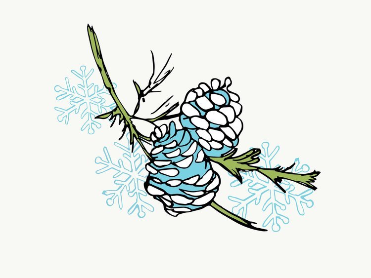 Retro+Pine+Cone+Illustration+Stock.jpg