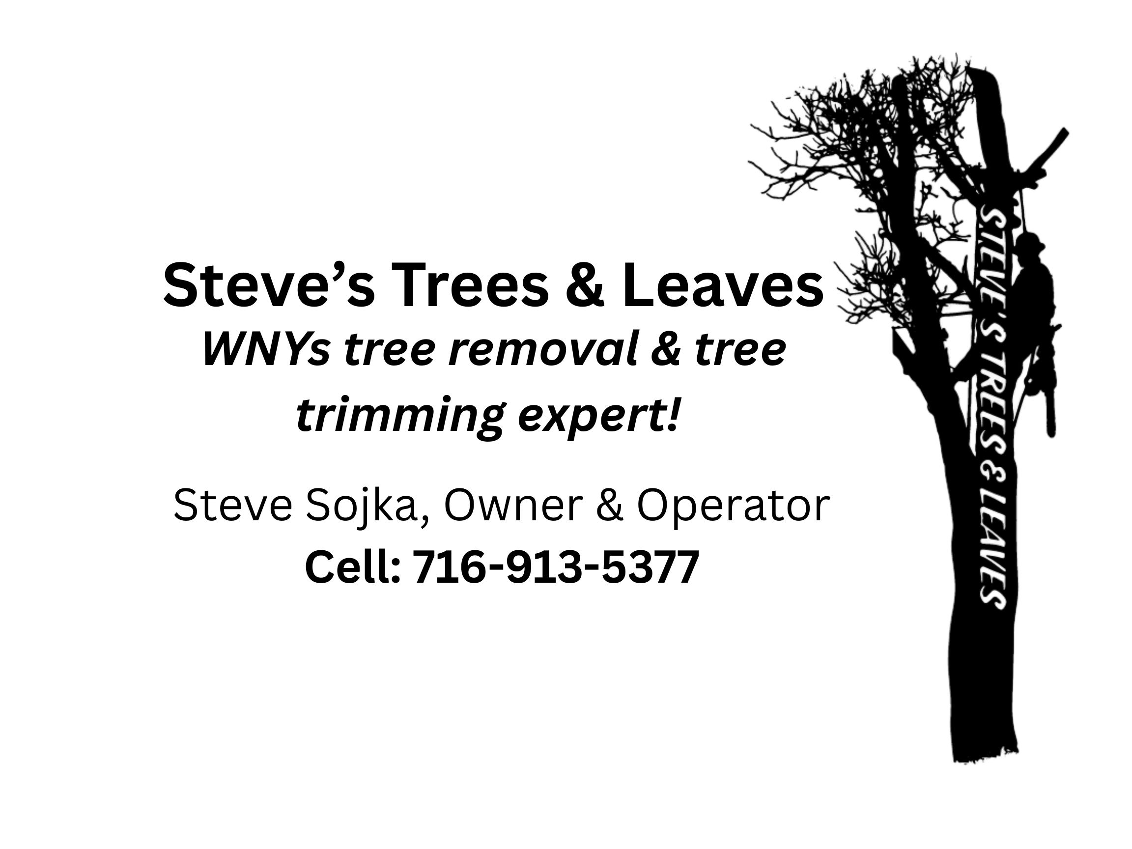 Tee Sponsor - STL Lawn Sign_PNG.png
