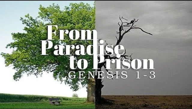 Genesis 3:15-24 From Fig Leaves to Faith