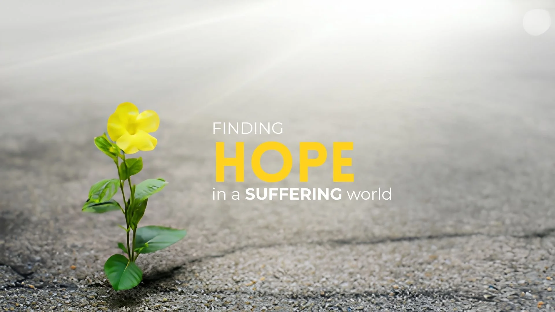 Psalm 88 Finding Hope in a Suffering World