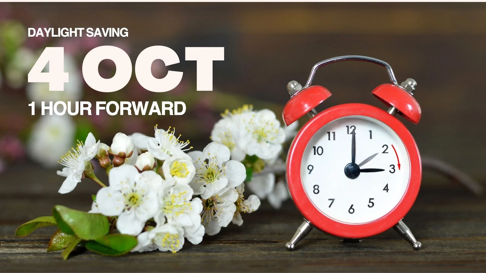 Daylight Saving Begins