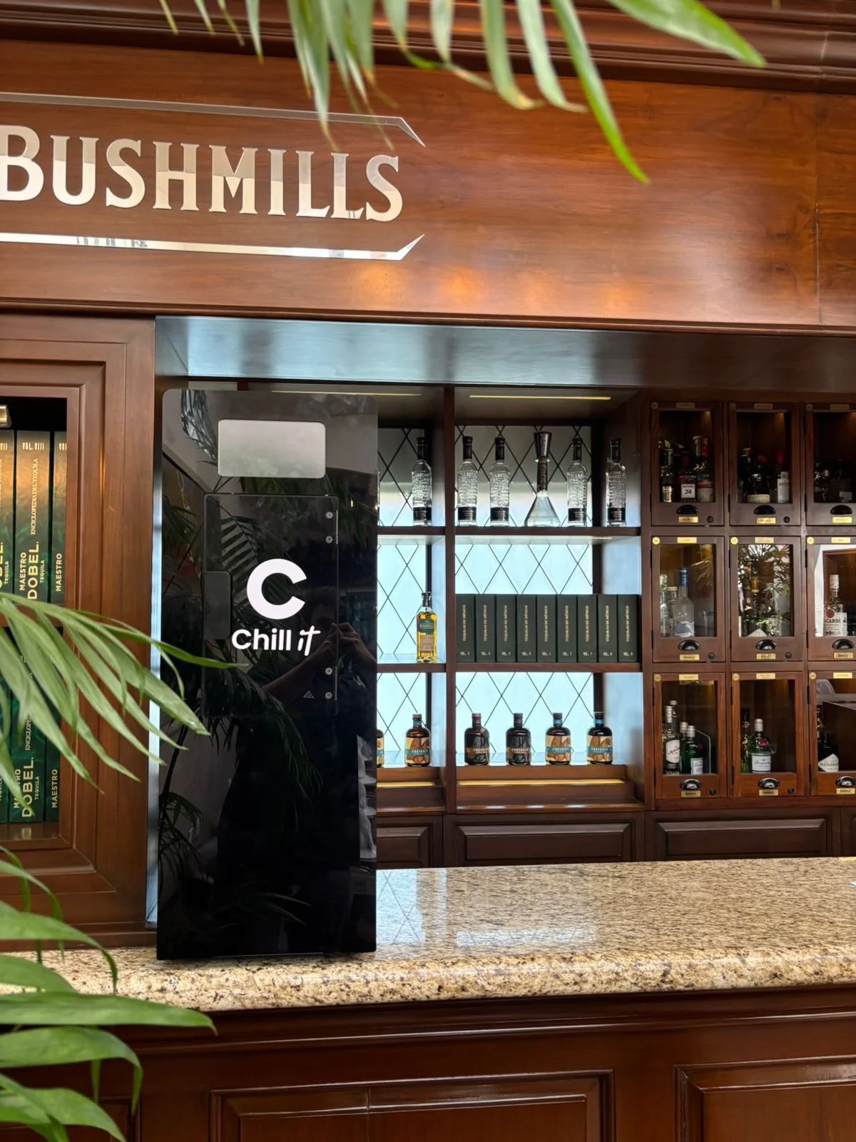 WhatsApp Image 2026-02-10 at 11.47.04 AM.jpeg