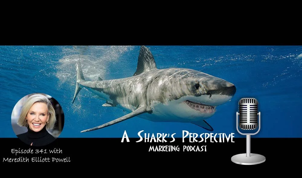 Episode 341 - Meredith Elliott Powell