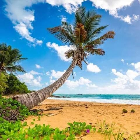 Picture of Puerto Rico’s Flamenco Beach in the Carribean