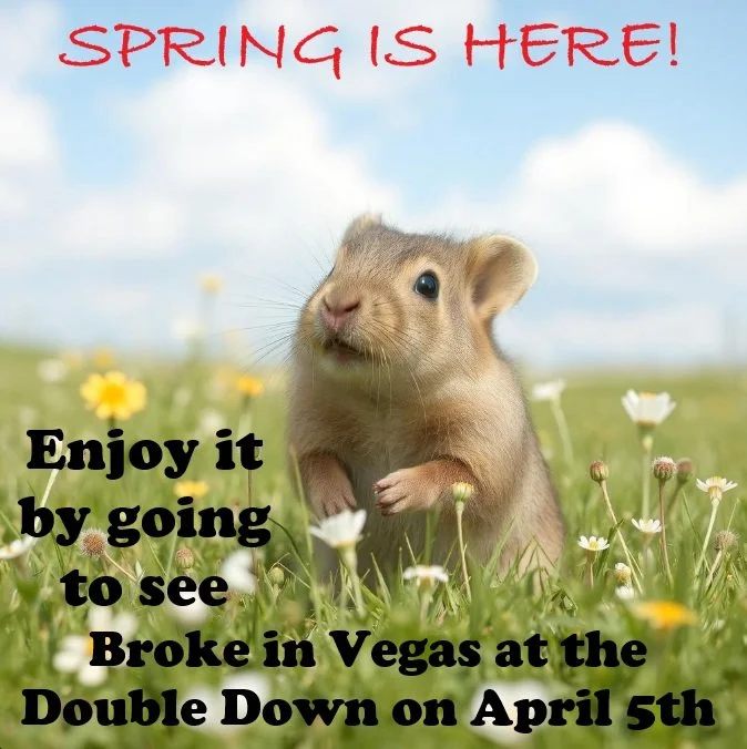 4-5-25 Flyer hamster.jpg