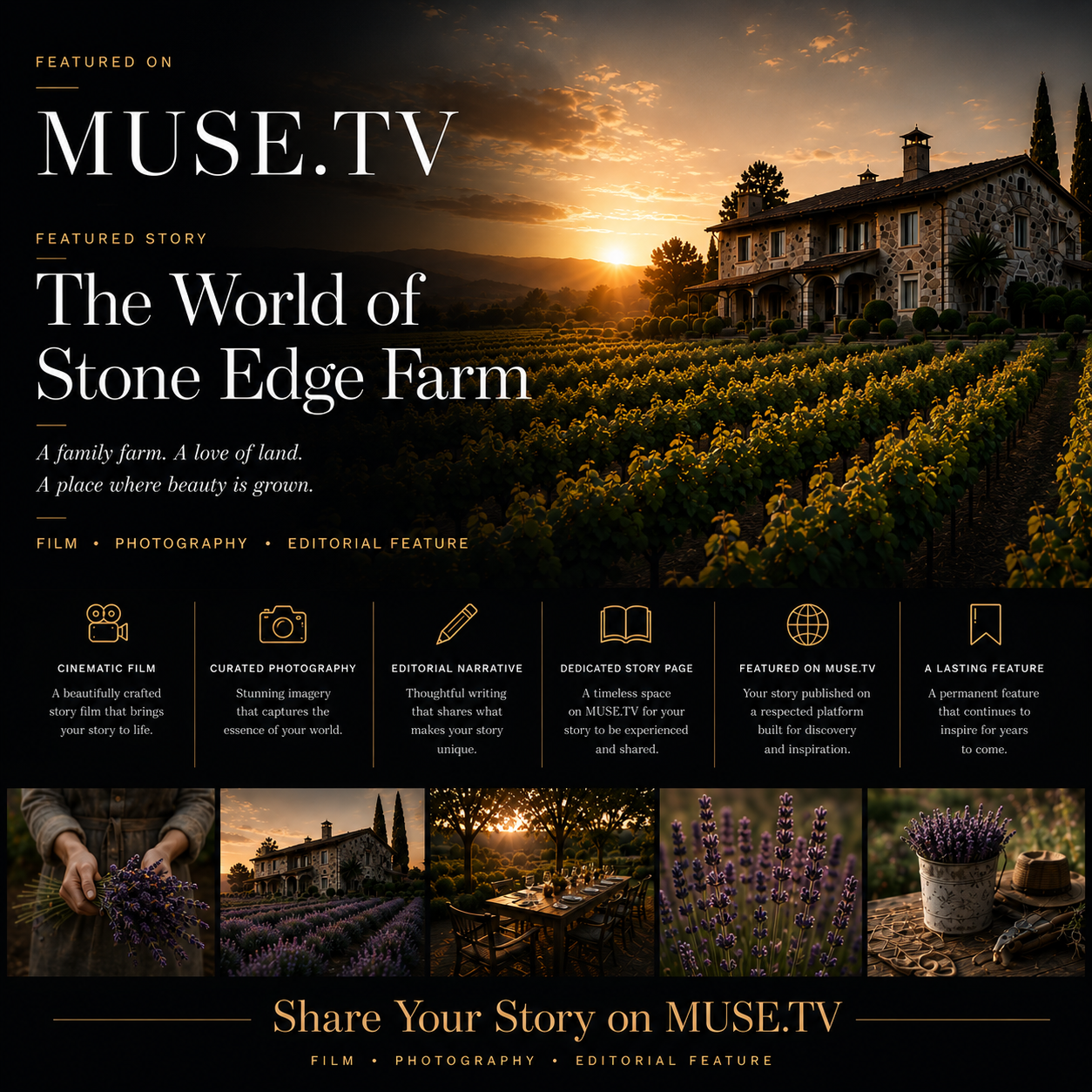 shareyourstory-musetv.png