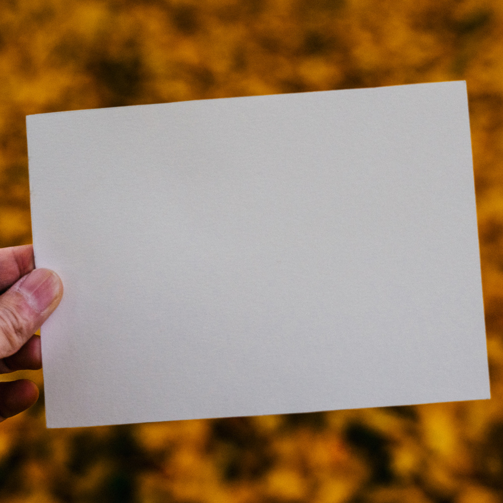 Boost leadership development with the fresh start effect