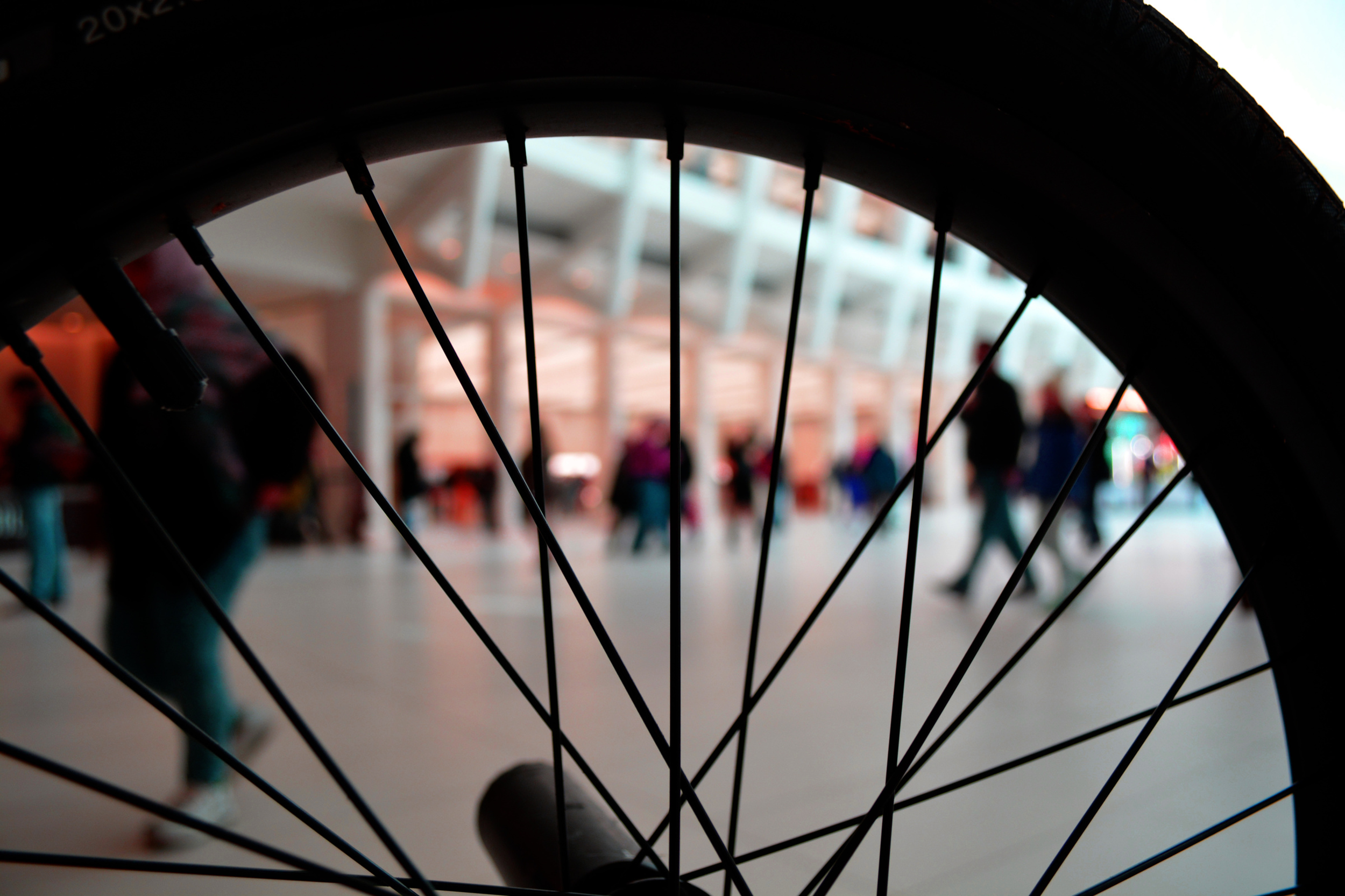 The LDS Wheel™