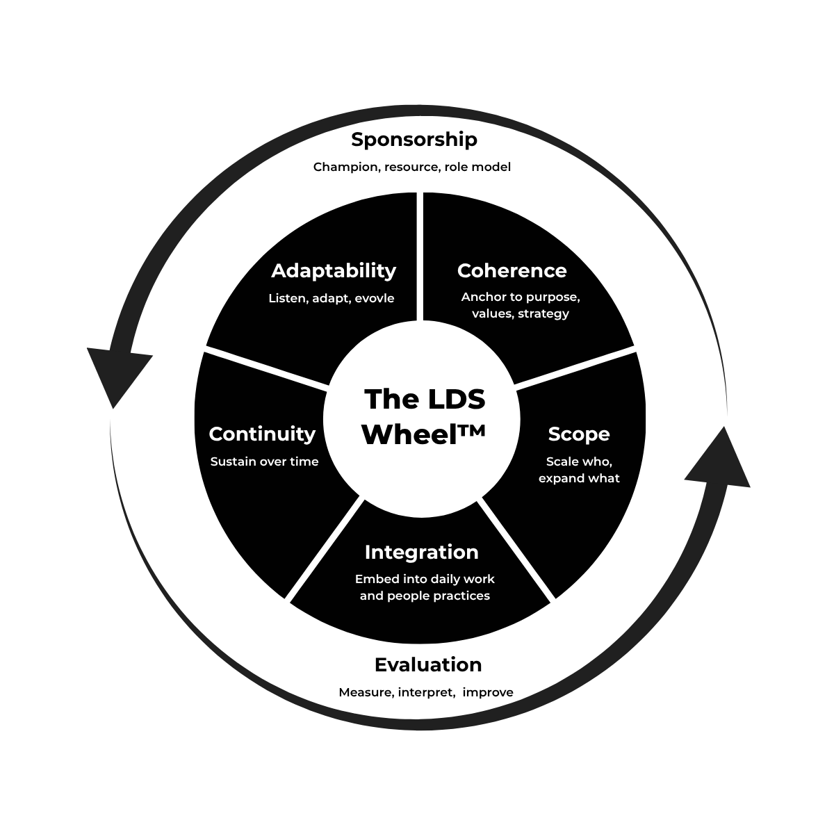 Visual summary of The LDS Wheel™