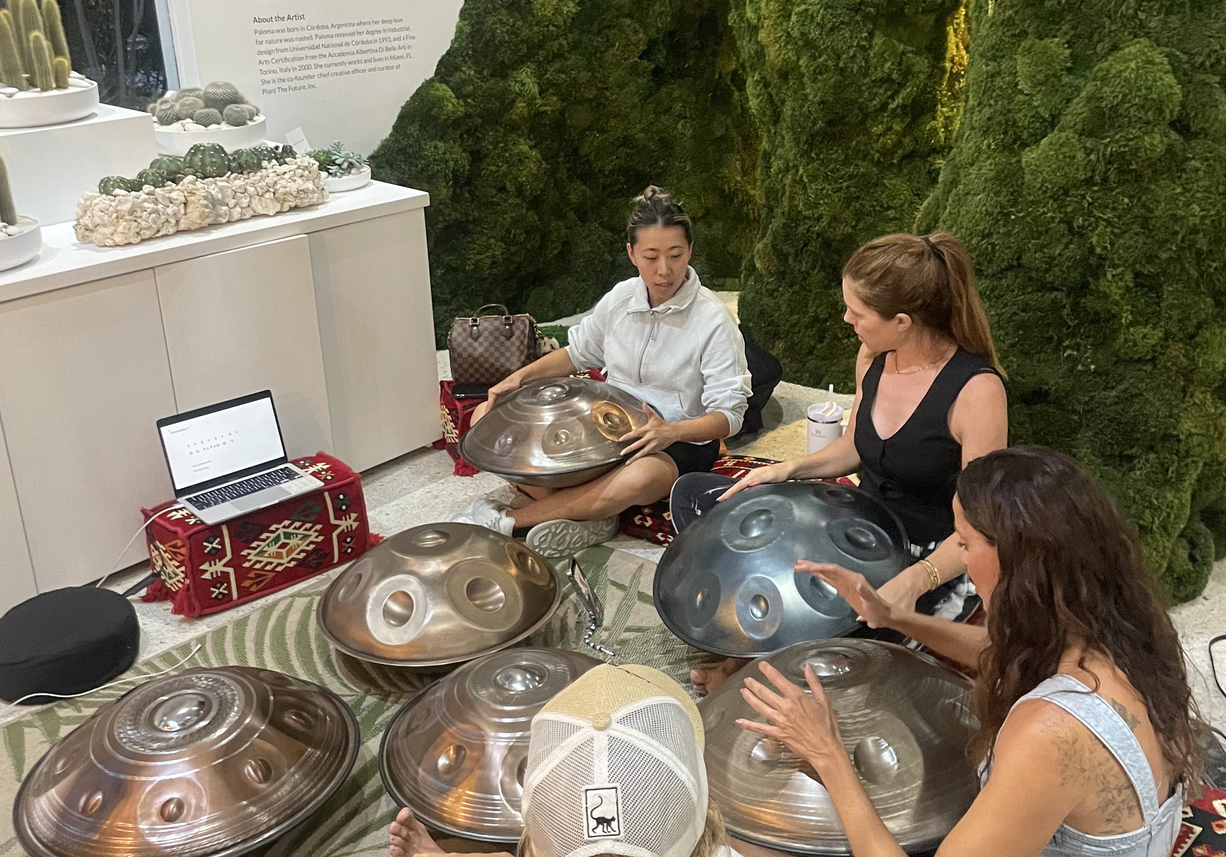Group of people playing handpans indoors near greenery and decorative rocks.