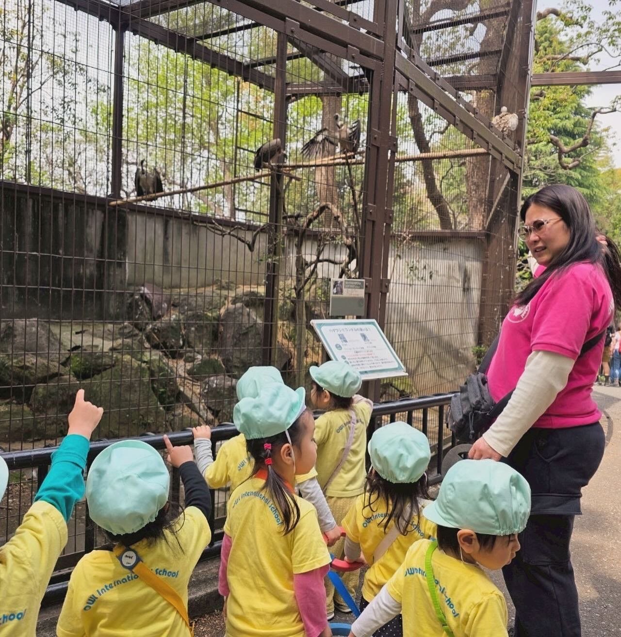 4月18日は、K1とPreschoolの子どもたちが上野動物園を訪れました!🦁🌿
子どもたちは、さまざまな動物に出会いながら冒険を楽しみました。キリンの長い首を見上げたり、ゾウの大きさに驚いたり、目を輝かせる瞬間がたくさんありました!🐘🦒✨
動物たちとの触れ合いを通して、子どもたちの好奇心がさらに広がりました。この特別な一日が、未来の探求心の種となることを願っています!💡💕
みんなの心に響く体験がいっぱいの毎日になりますように!🌟
April 18th was a fant