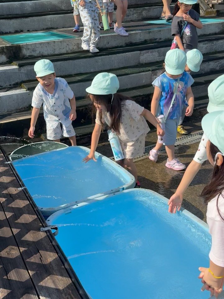 🐟🐴Nature Camp Day 2🌿✨
今日はネイチャーキャンプ2日目!朝からみんなで自然の中をお散歩しながら探検スタート🚶‍♂️🌾
カエルやちょうちょ、カタツムリ🐌を見つけたり、田んぼの水路をのぞき込んだりと、発見がいっぱいの朝でした🍃👀
川では魚のつかみ取りに挑戦!
とっても速い魚に苦戦しながらも、ついにキャッチできた時には笑顔がはじけました🐟😆
その後は馬ににんじんをあげたり、乗馬にもチャレンジ🐴🥕✨
自然の中で過ごした特別な2日間。
心も体もたく