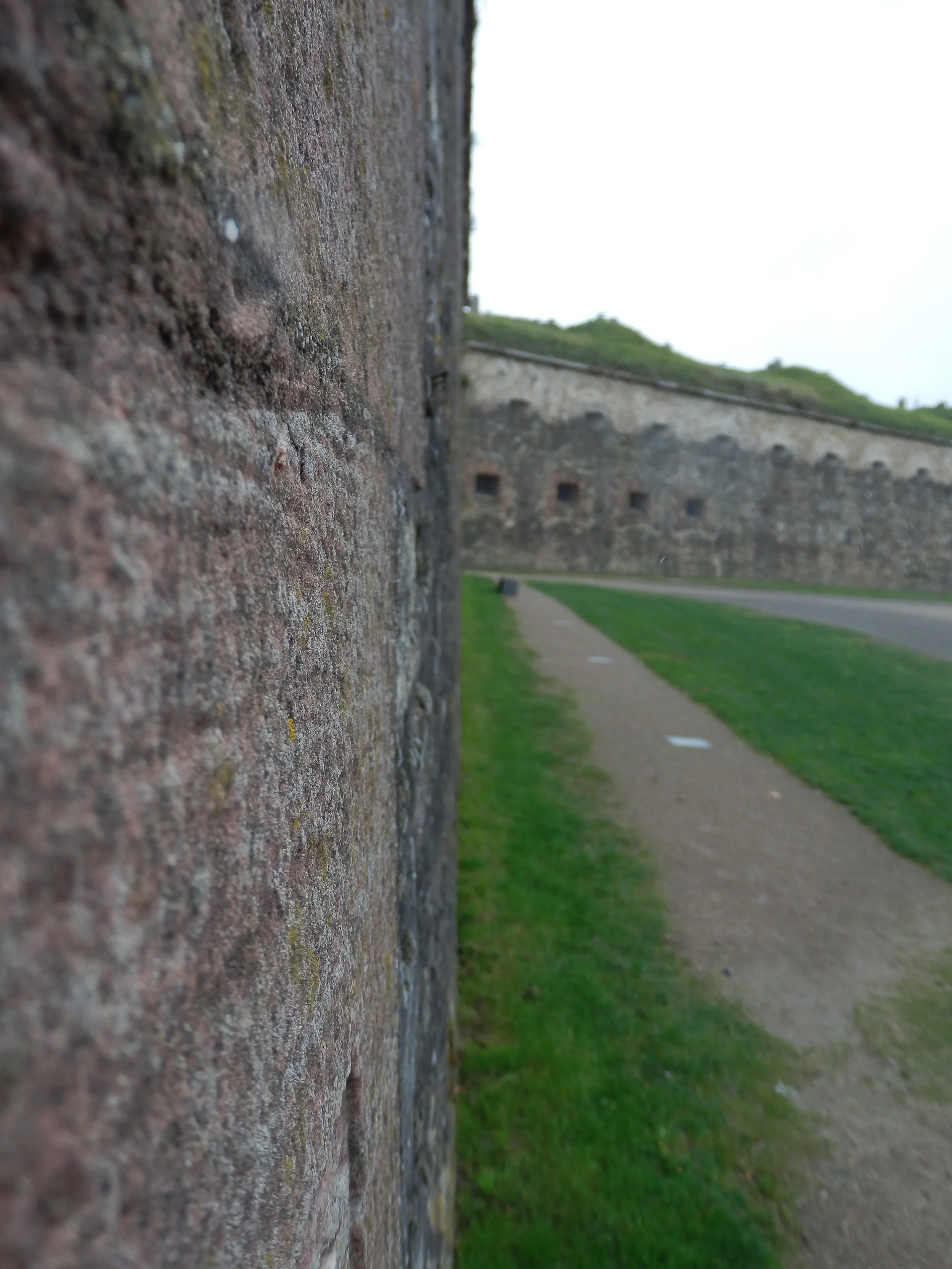 PA250035.JPG