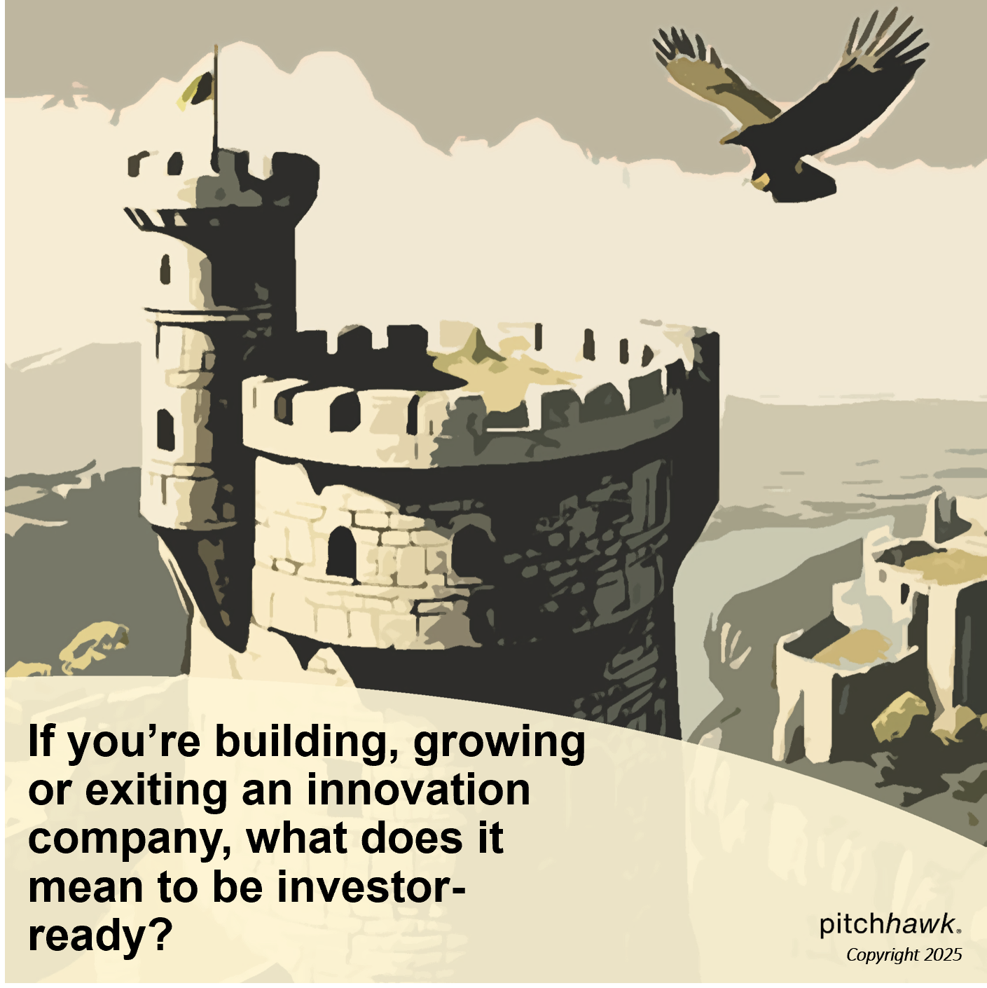 Investor Readiness FAQ: What does it really mean to be investor and buyer ready?