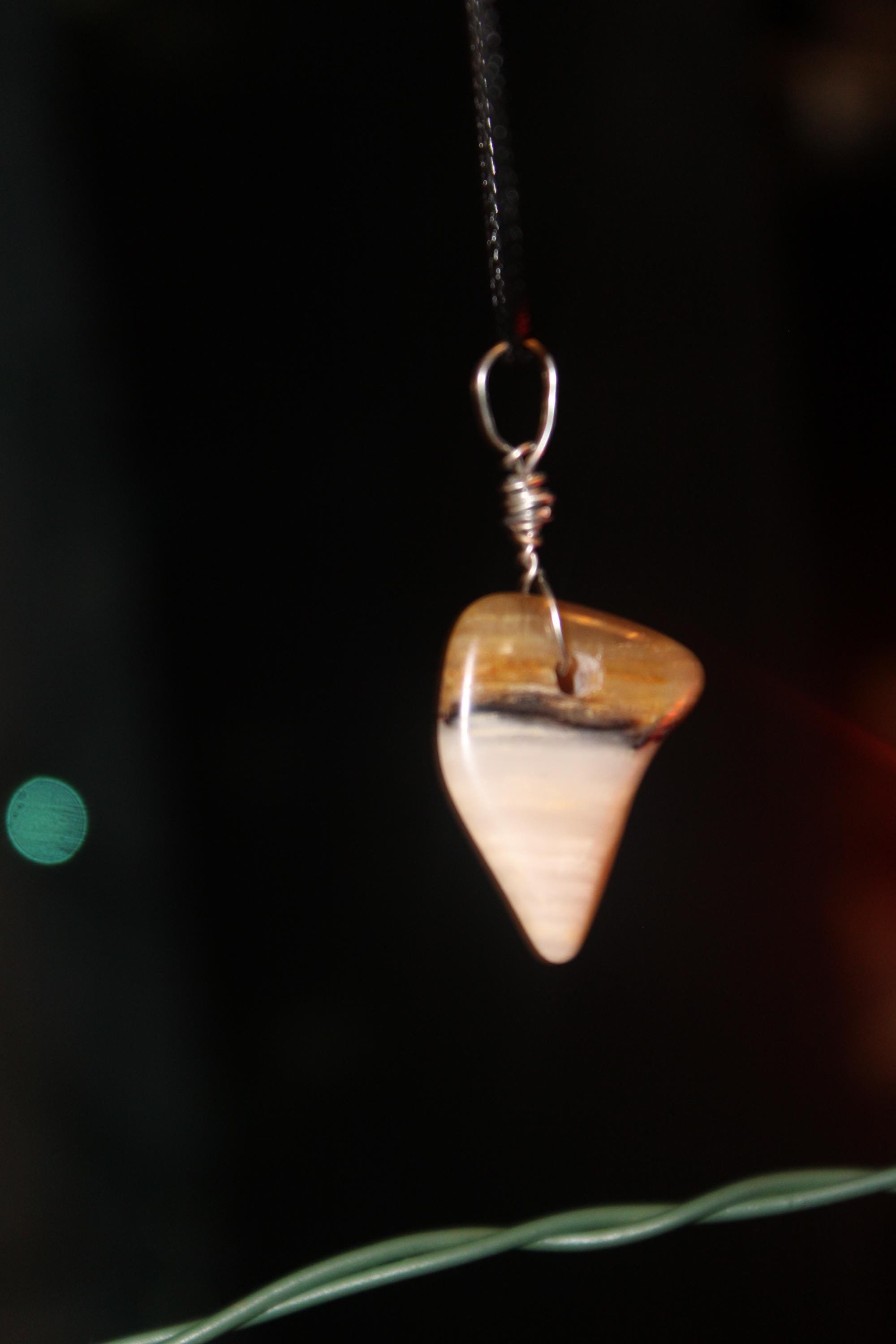 https://i.etsystatic.com/25531143/r/il/3b3806/6561930163/il_fullxfull.6561930163_o59e.jpg